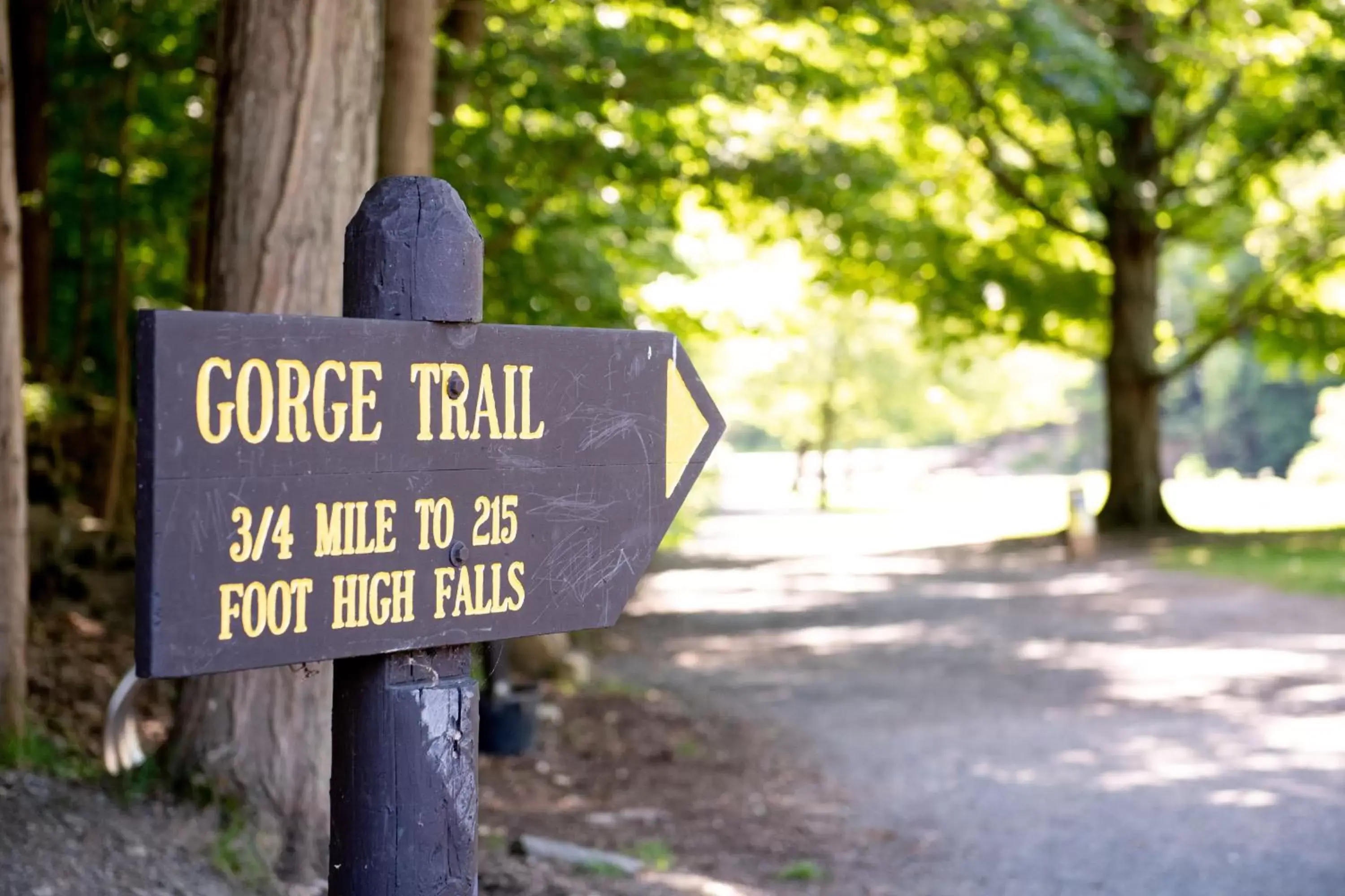 Hiking in Inn at Taughannock Falls