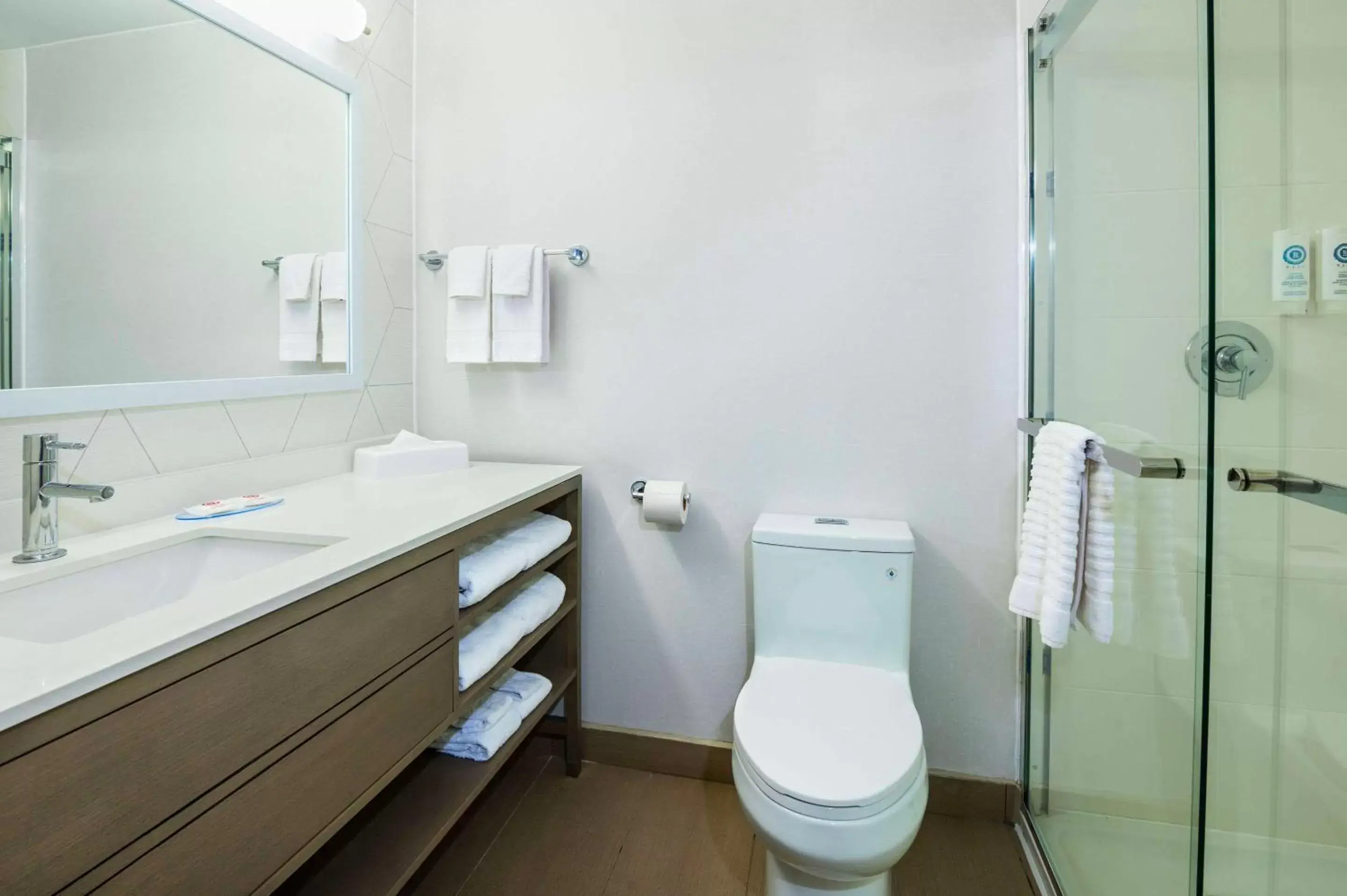 Bathroom in Comfort Inn & Suites Barrie