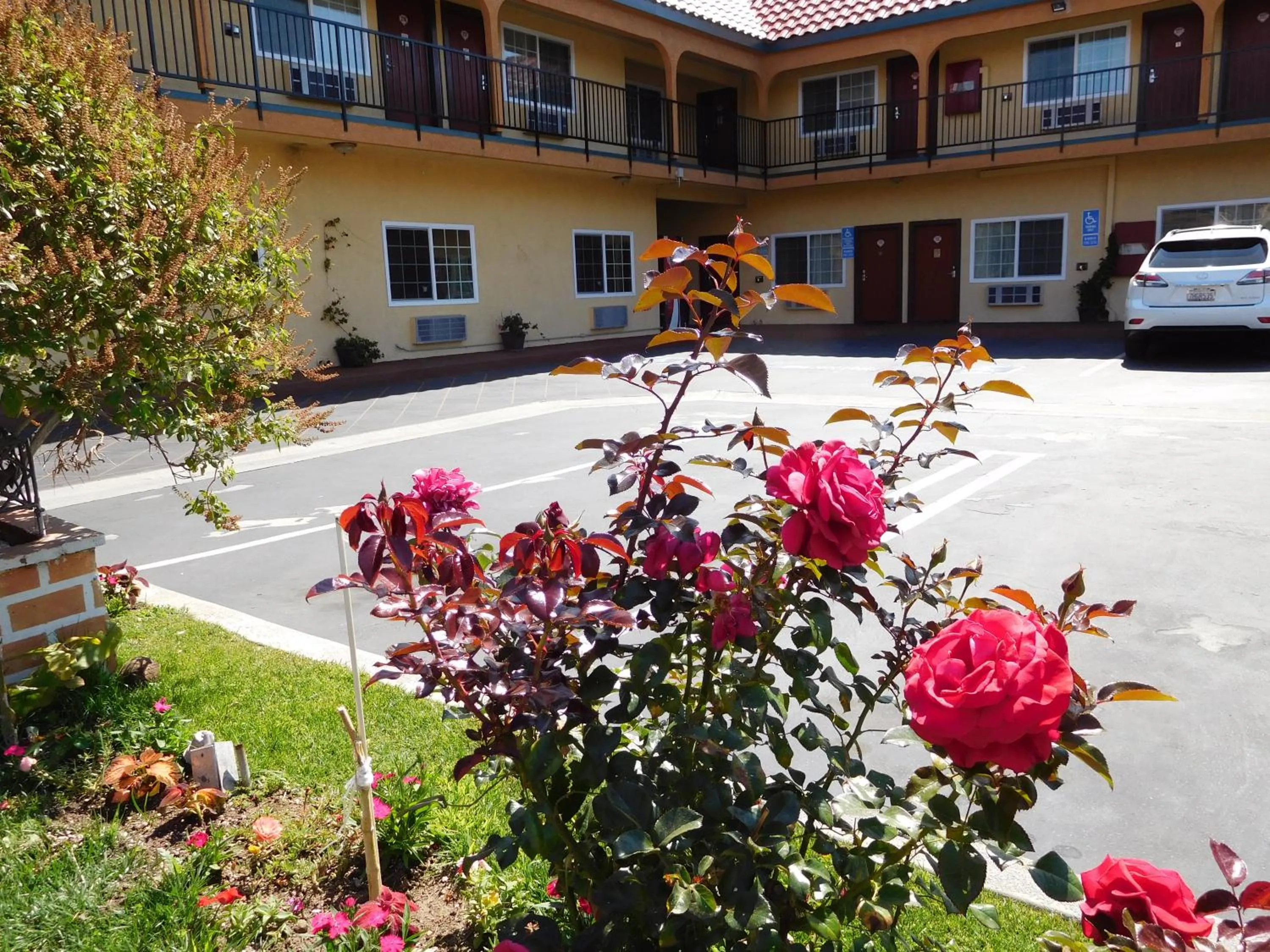 Property building in Diamond Inn