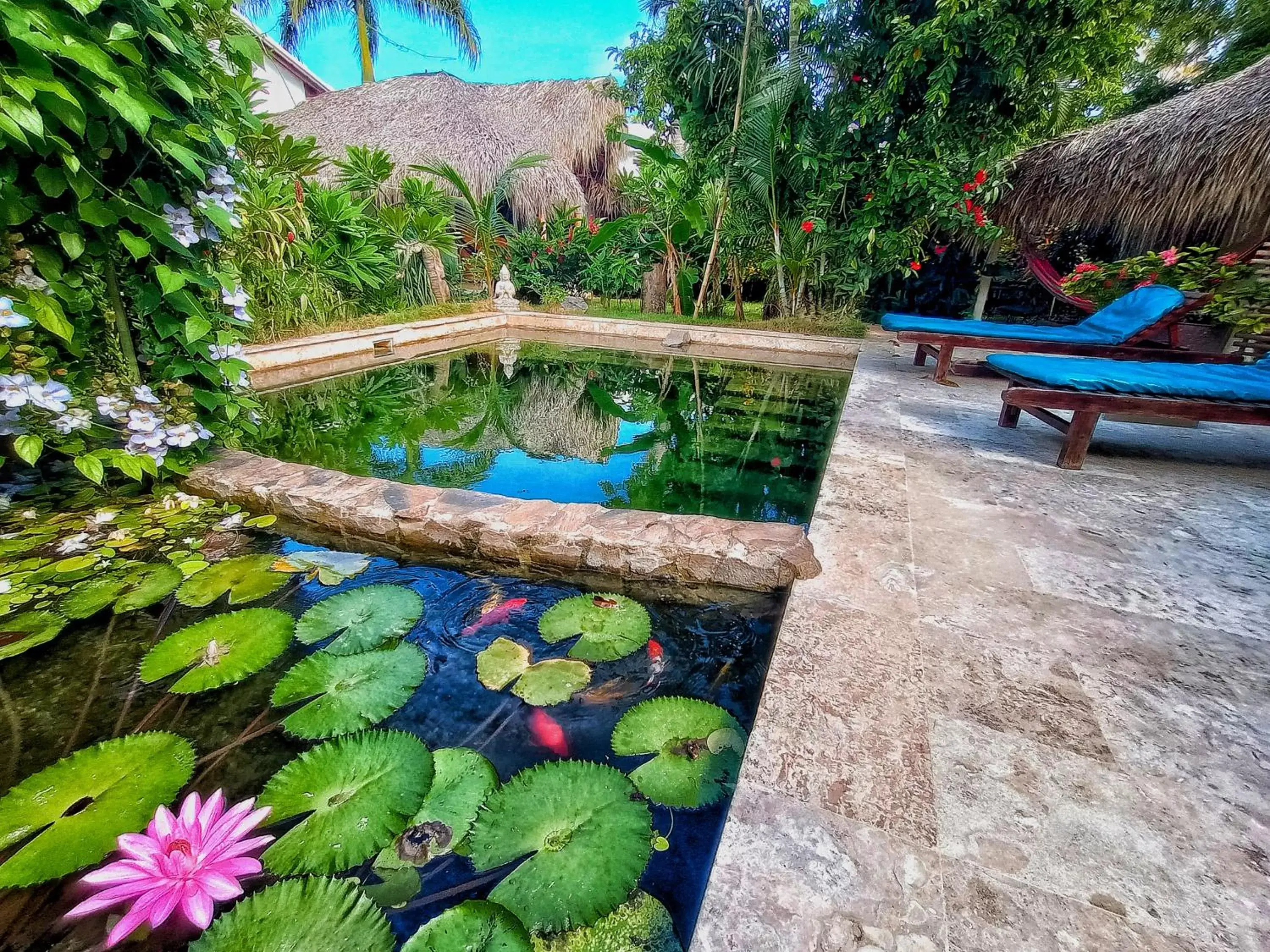 Pool view, Garden in Casa Picaflor