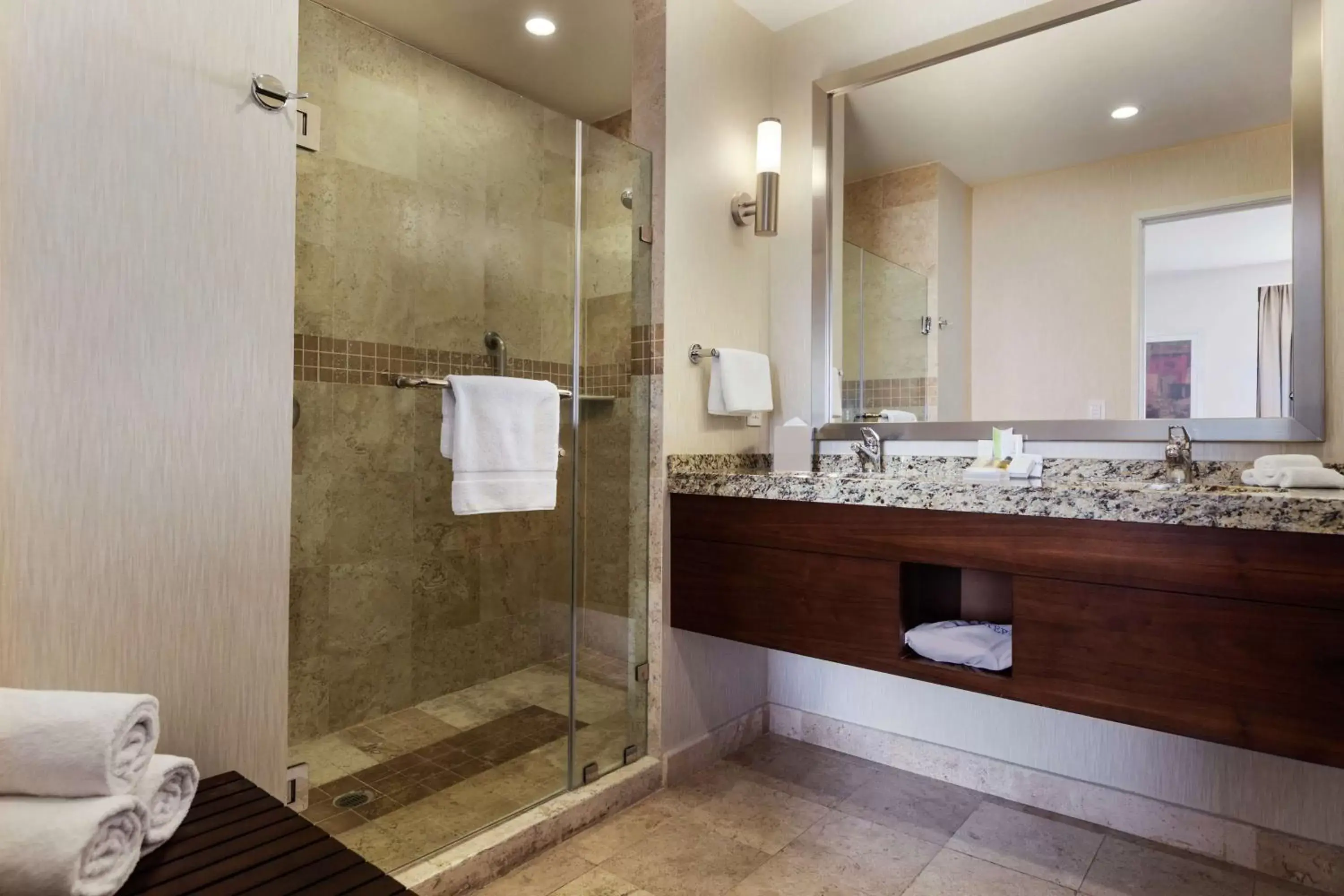 Bathroom in Hilton Garden Inn Queretaro