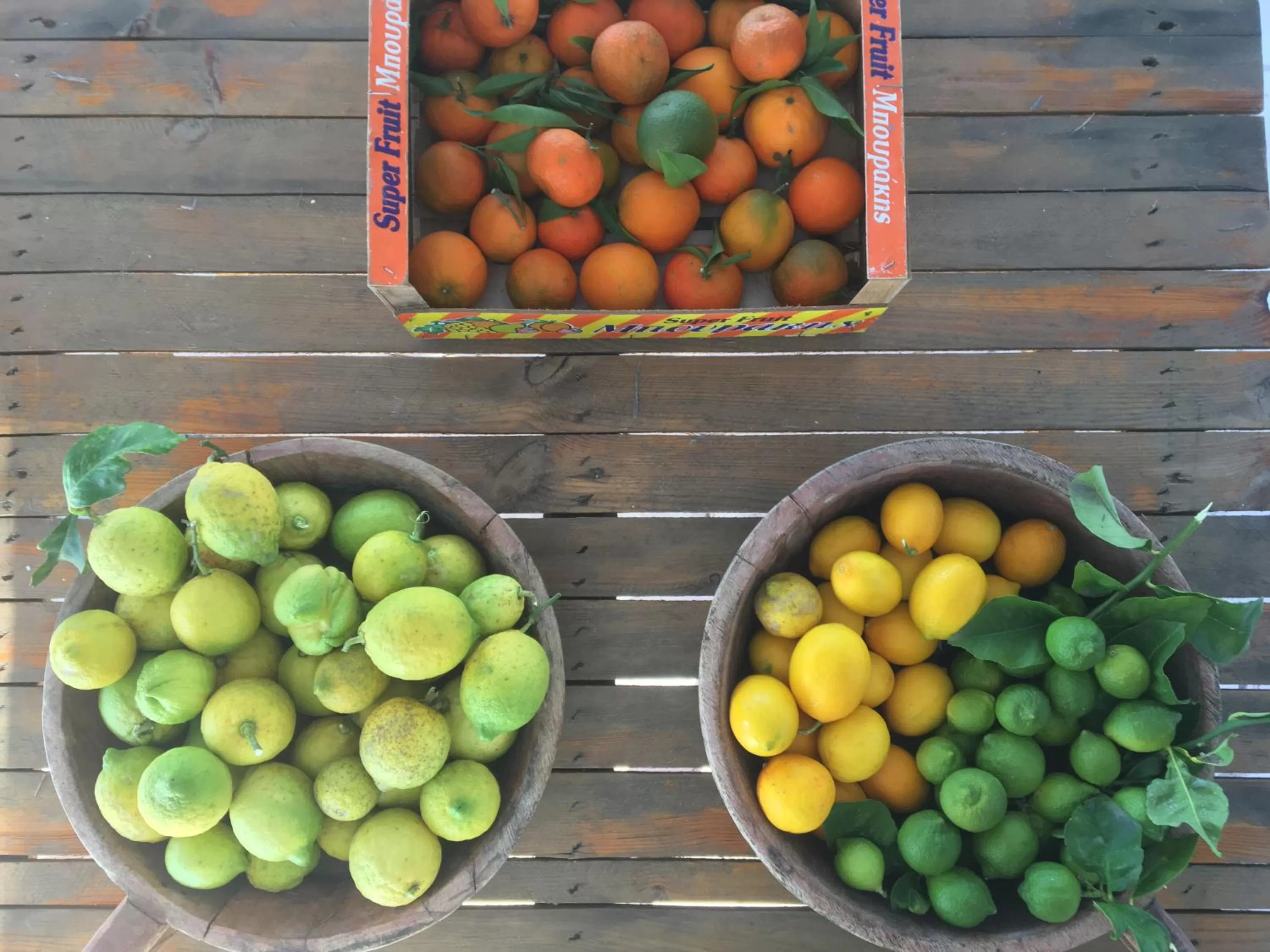 Food in Vila Rahmi & Veli Dervishaj