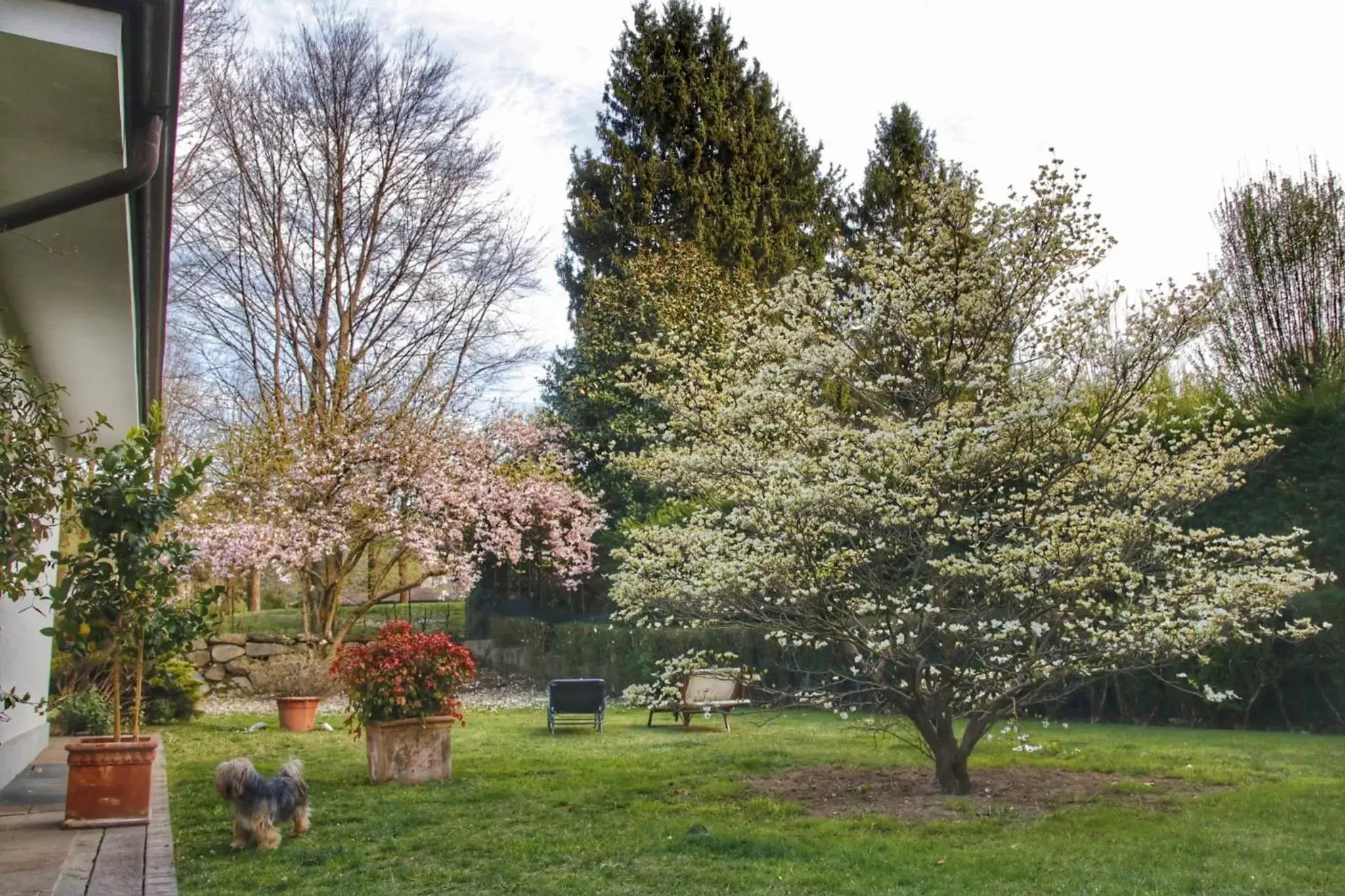 Garden in b&b le magnolie