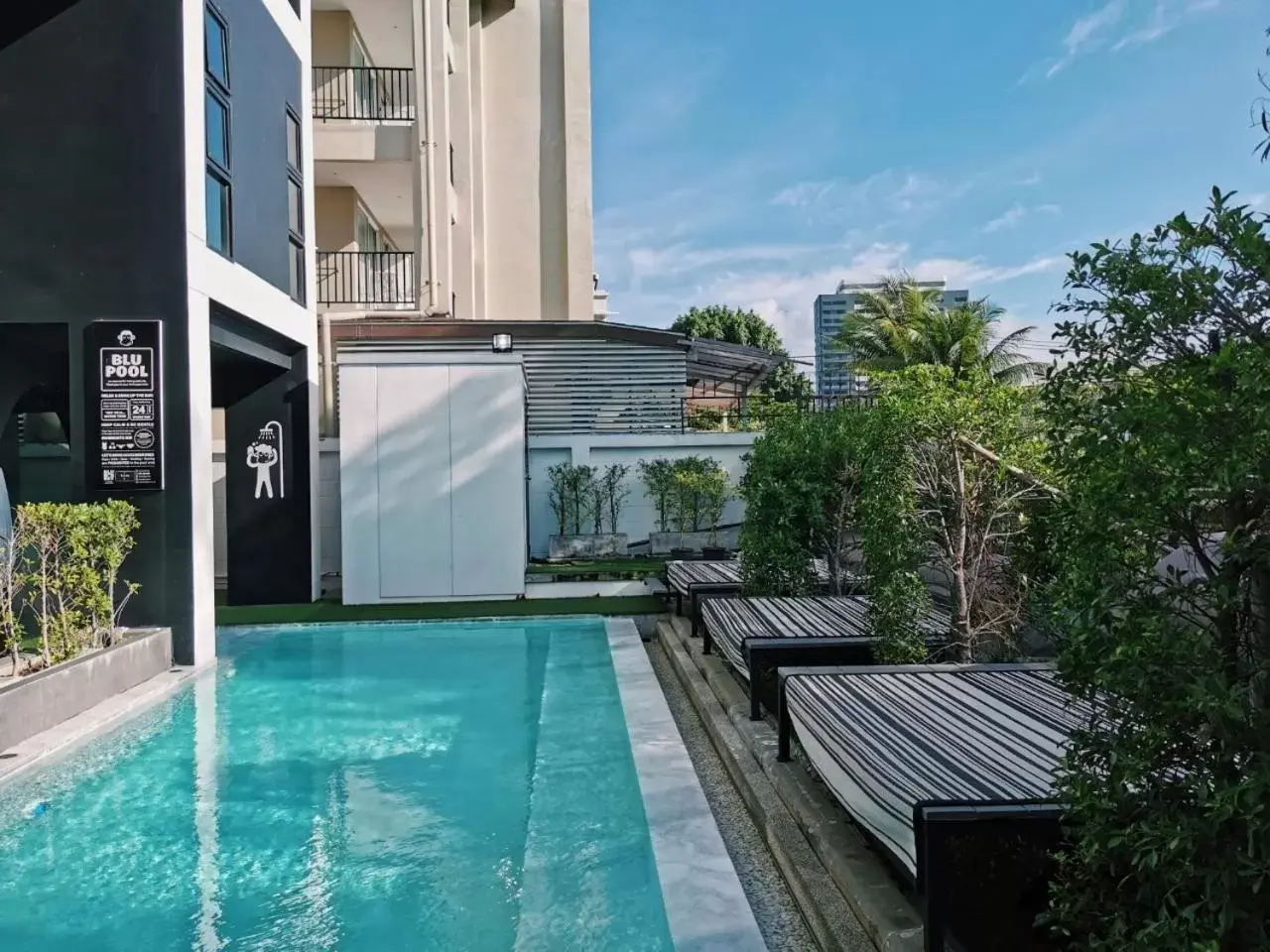 Swimming Pool in Blu Monkey Hub and Hotel Phuket - SHA Extra Plus