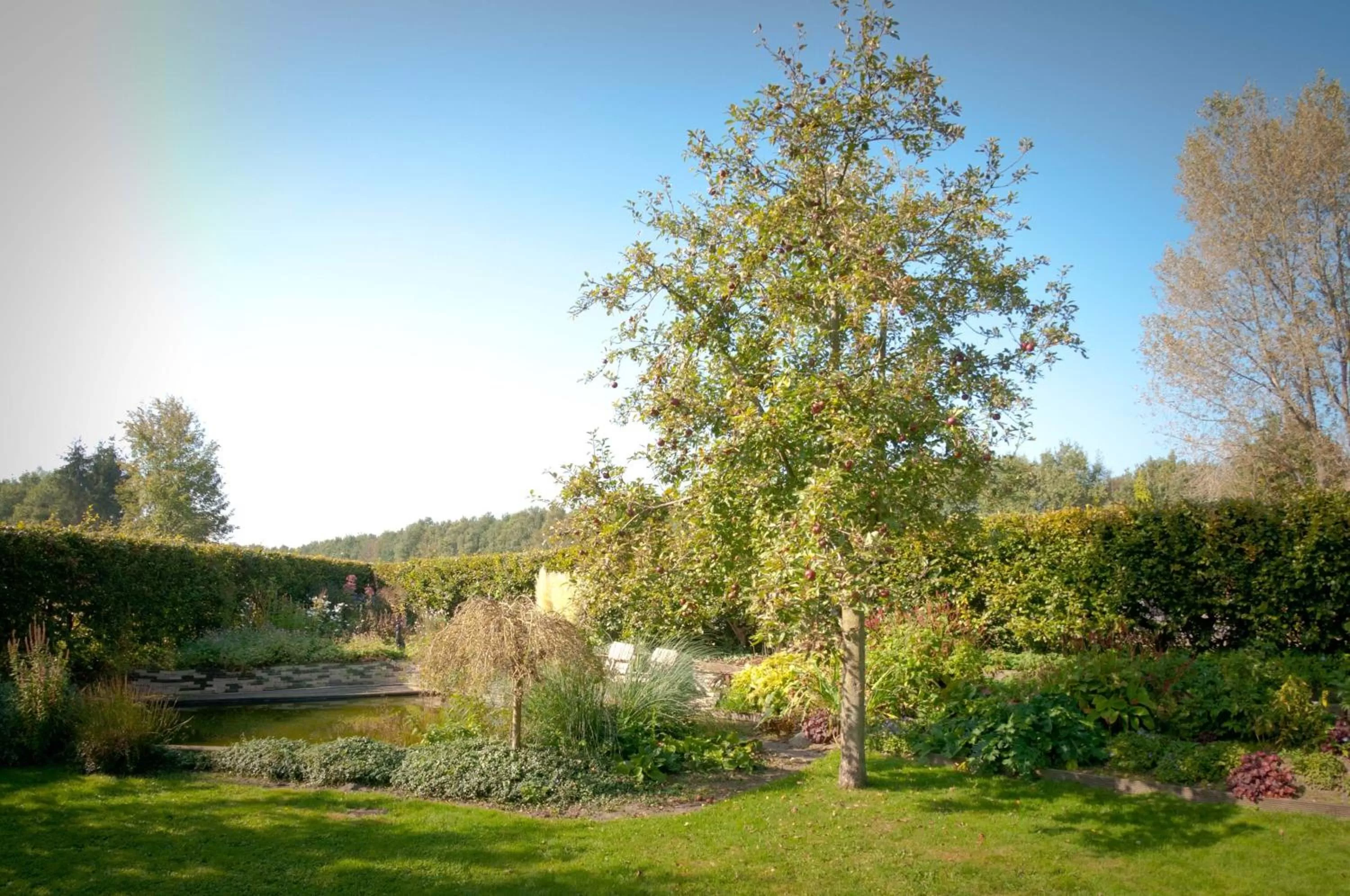 Spring in De Violier