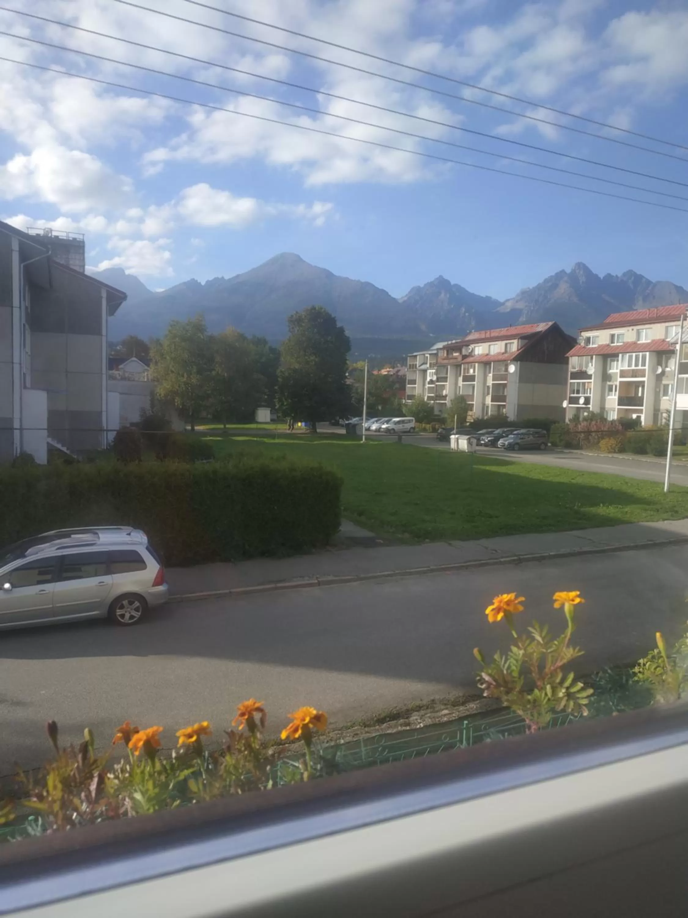 Parking in Lucky Cat