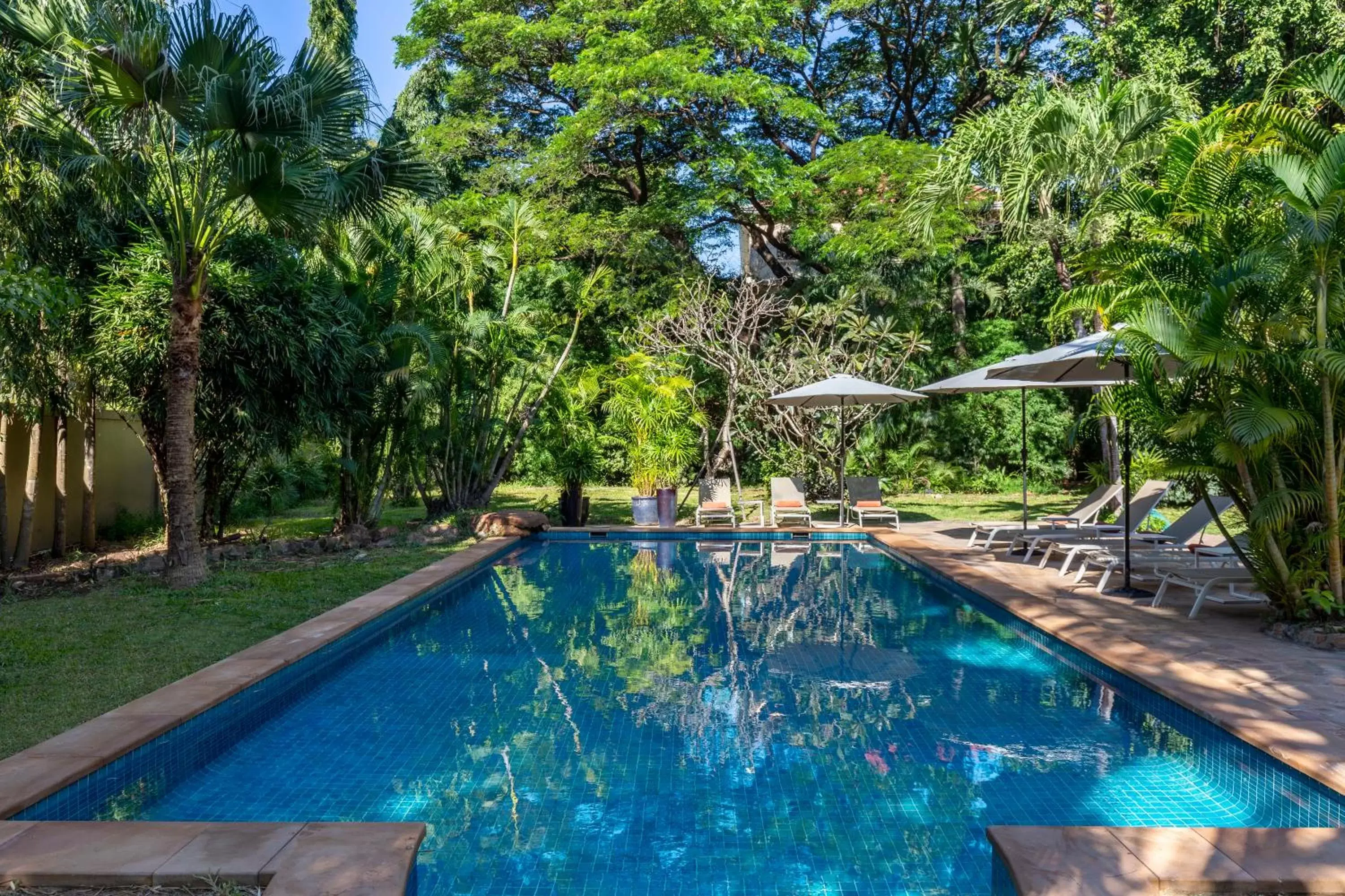 Pool view, Swimming Pool in La Palmeraie D'angkor