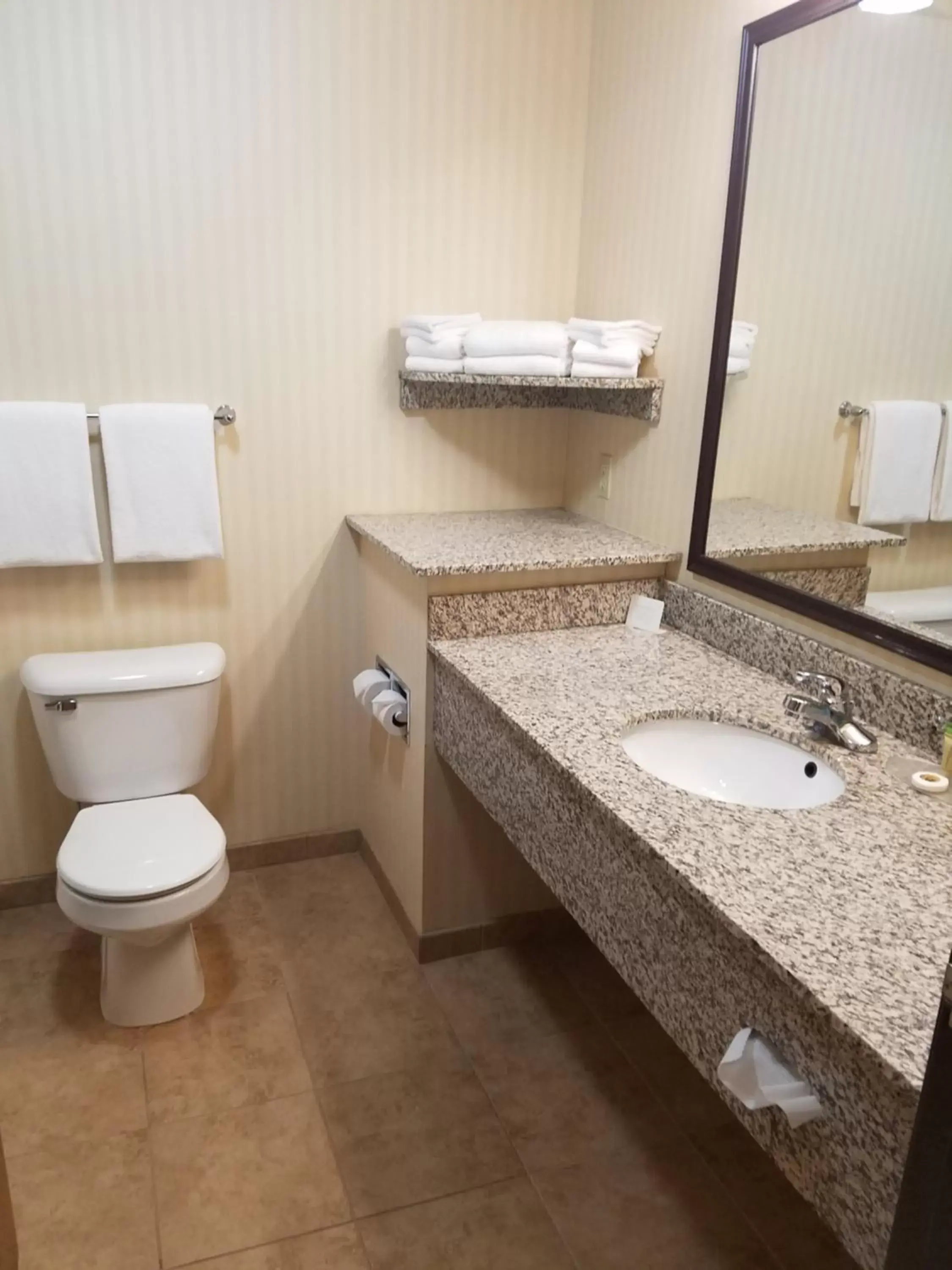 Bathroom in SureStay Plus Hotel by Best Western Buffalo