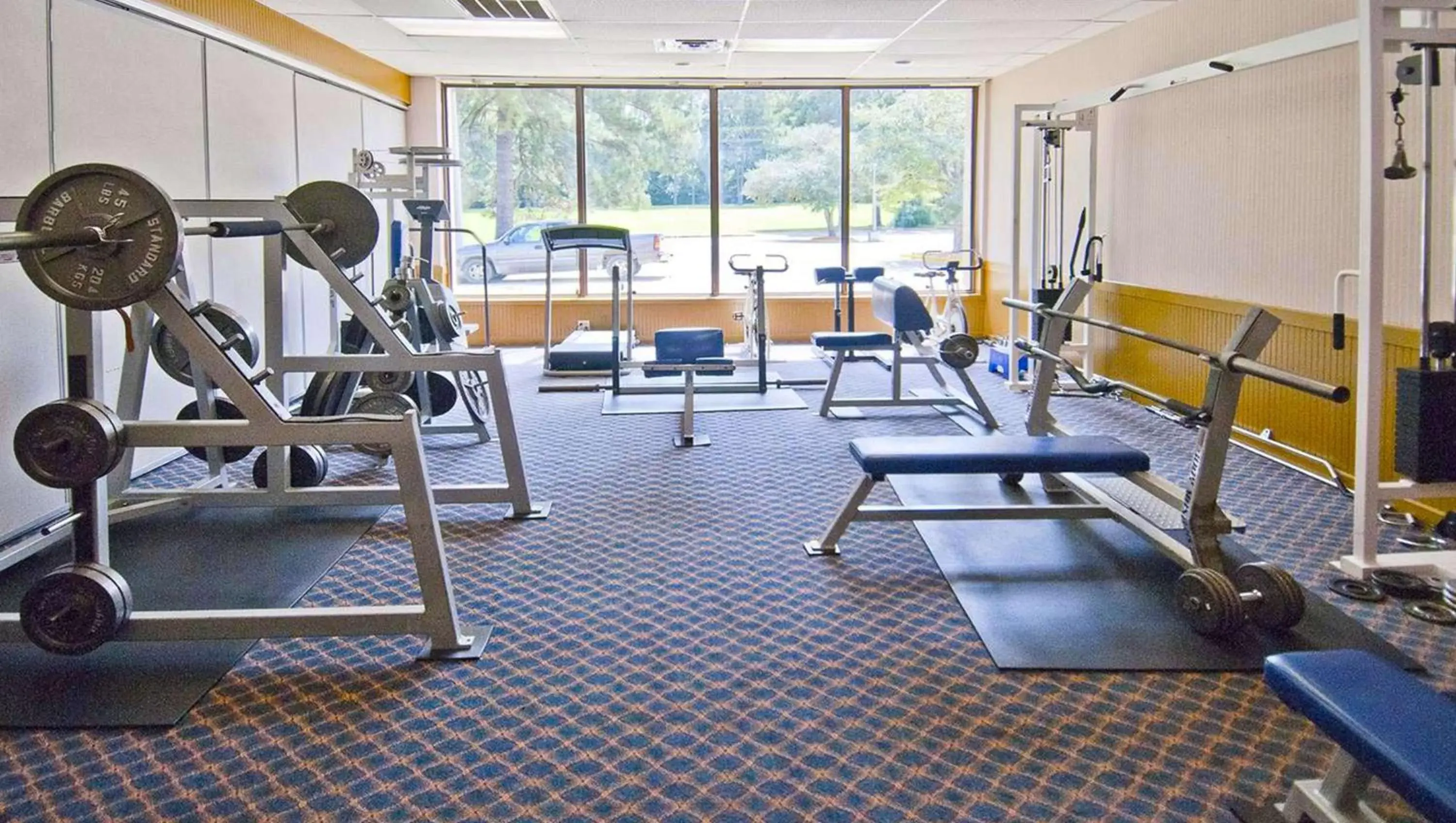 Other, Fitness Center/Facilities in Hotel Francis