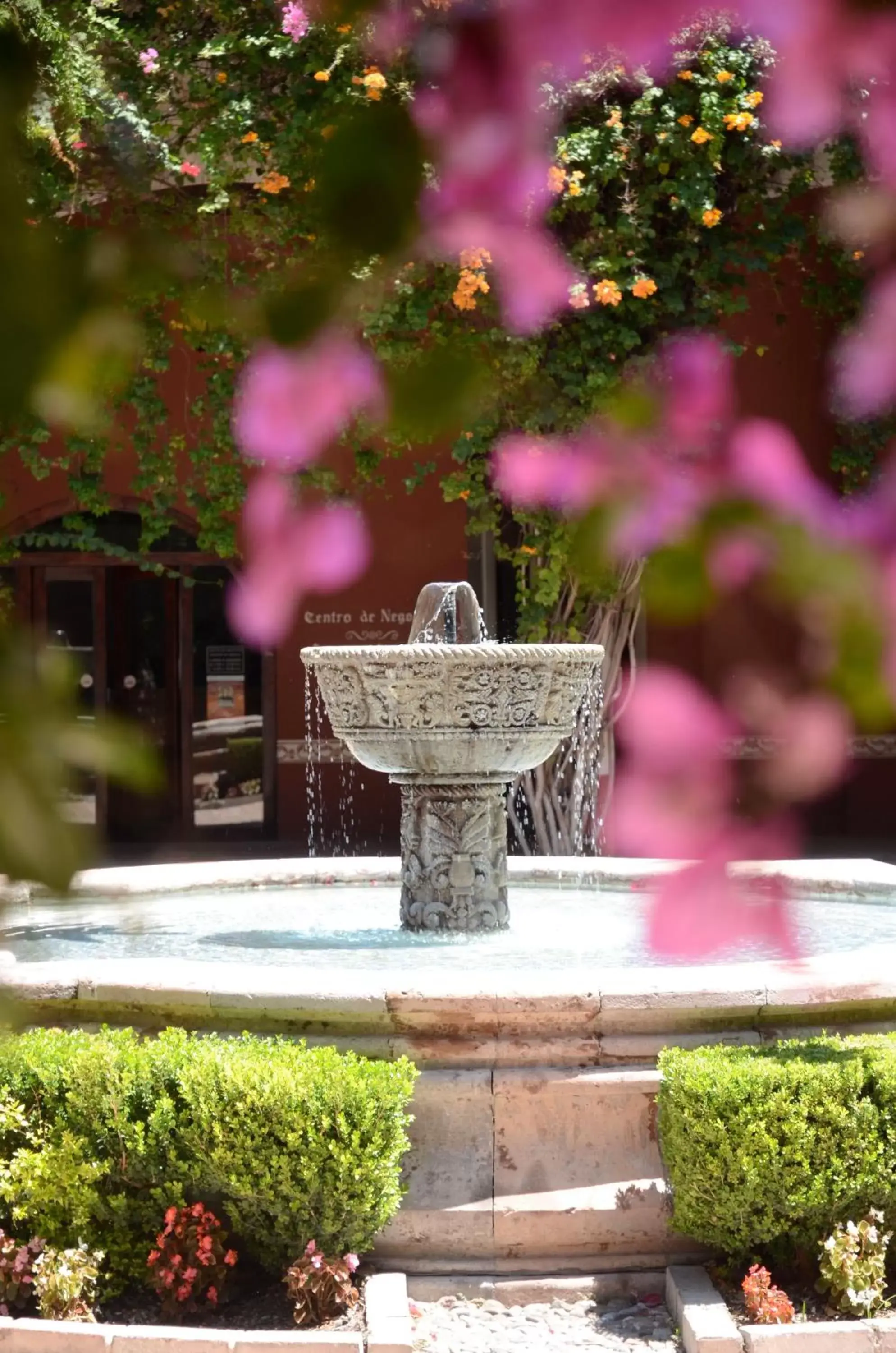 Garden in Hacienda Jurica by Brisas