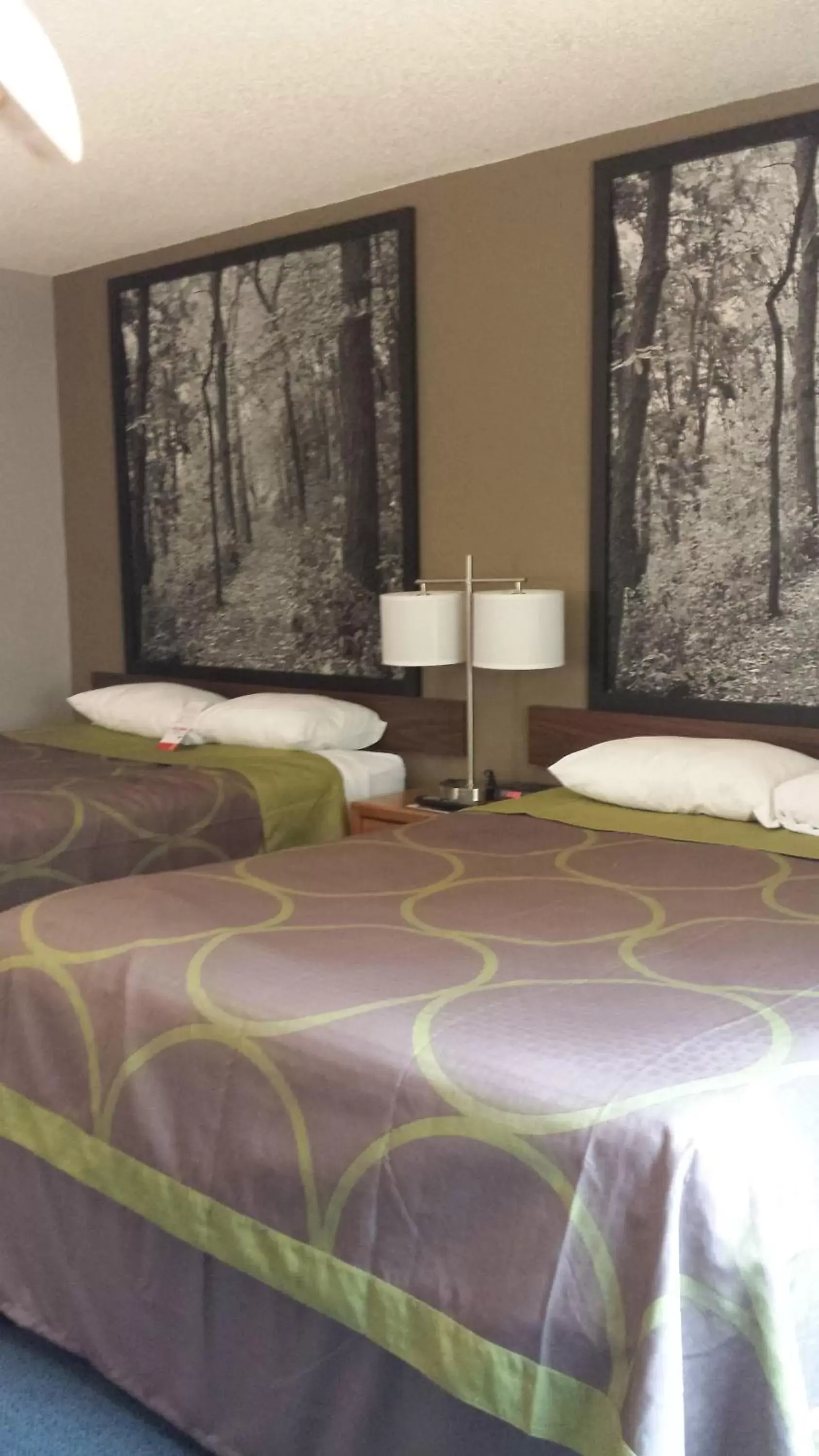 Bed in Super 8 by Wyndham Pella Bed in Super 8 by Wyndham Pella