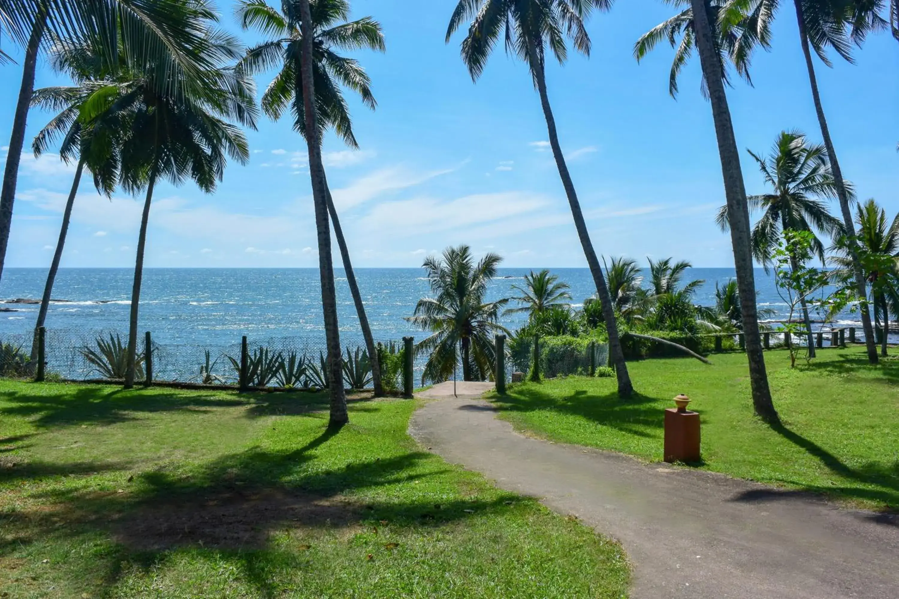 Garden in Eva Lanka Hotel - Beach & Wellness