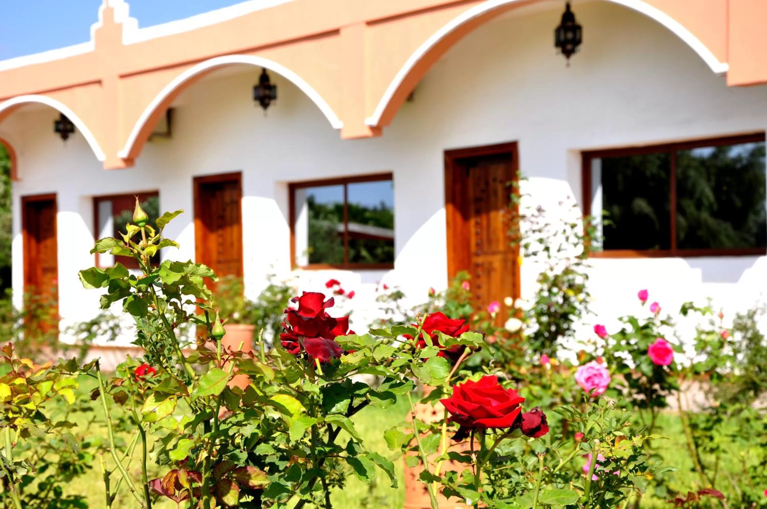 Garden view in Riad Hamdani