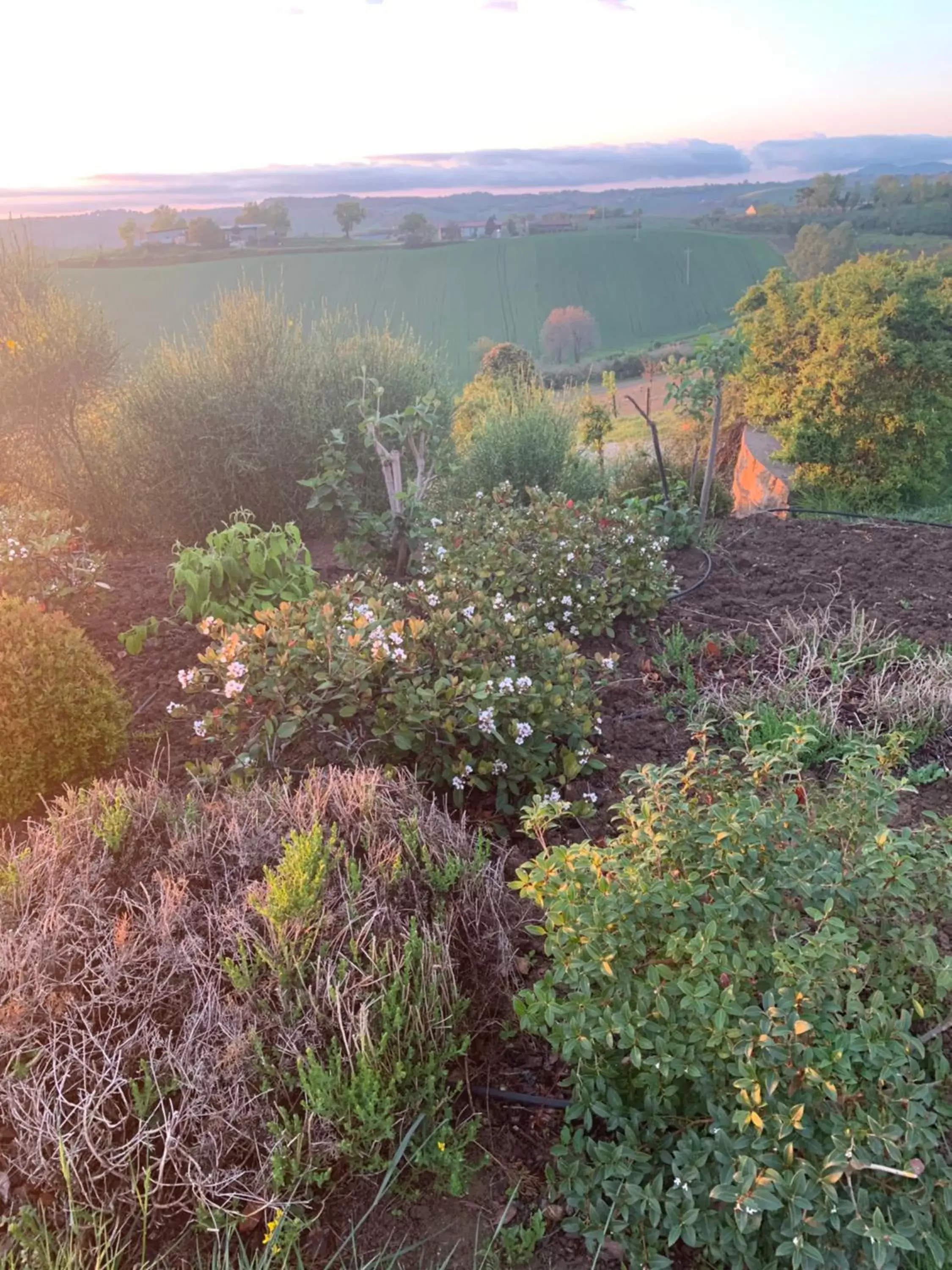 Natural landscape in Relais Il Margarito