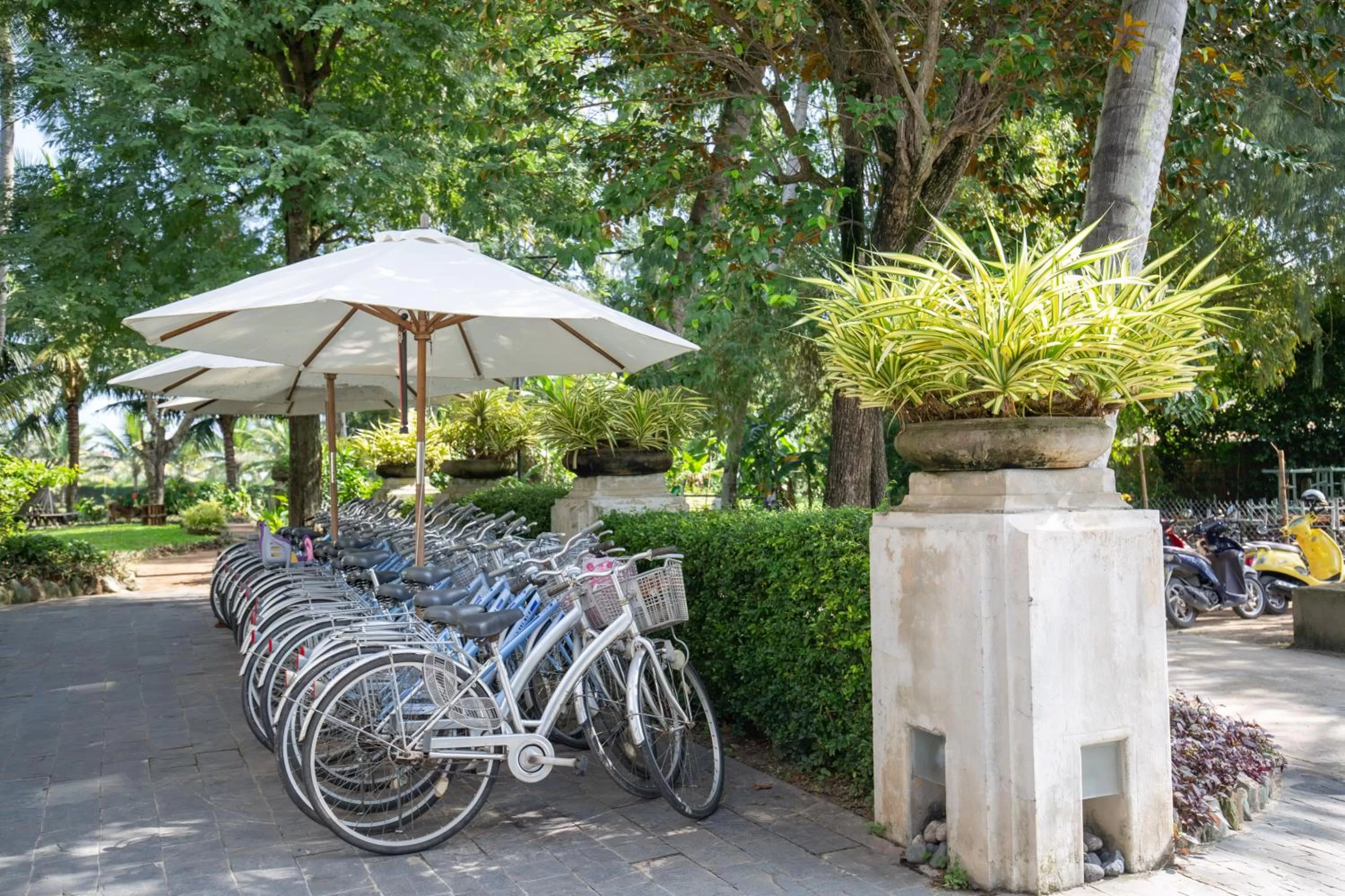 Garden in Tra Que Mansion