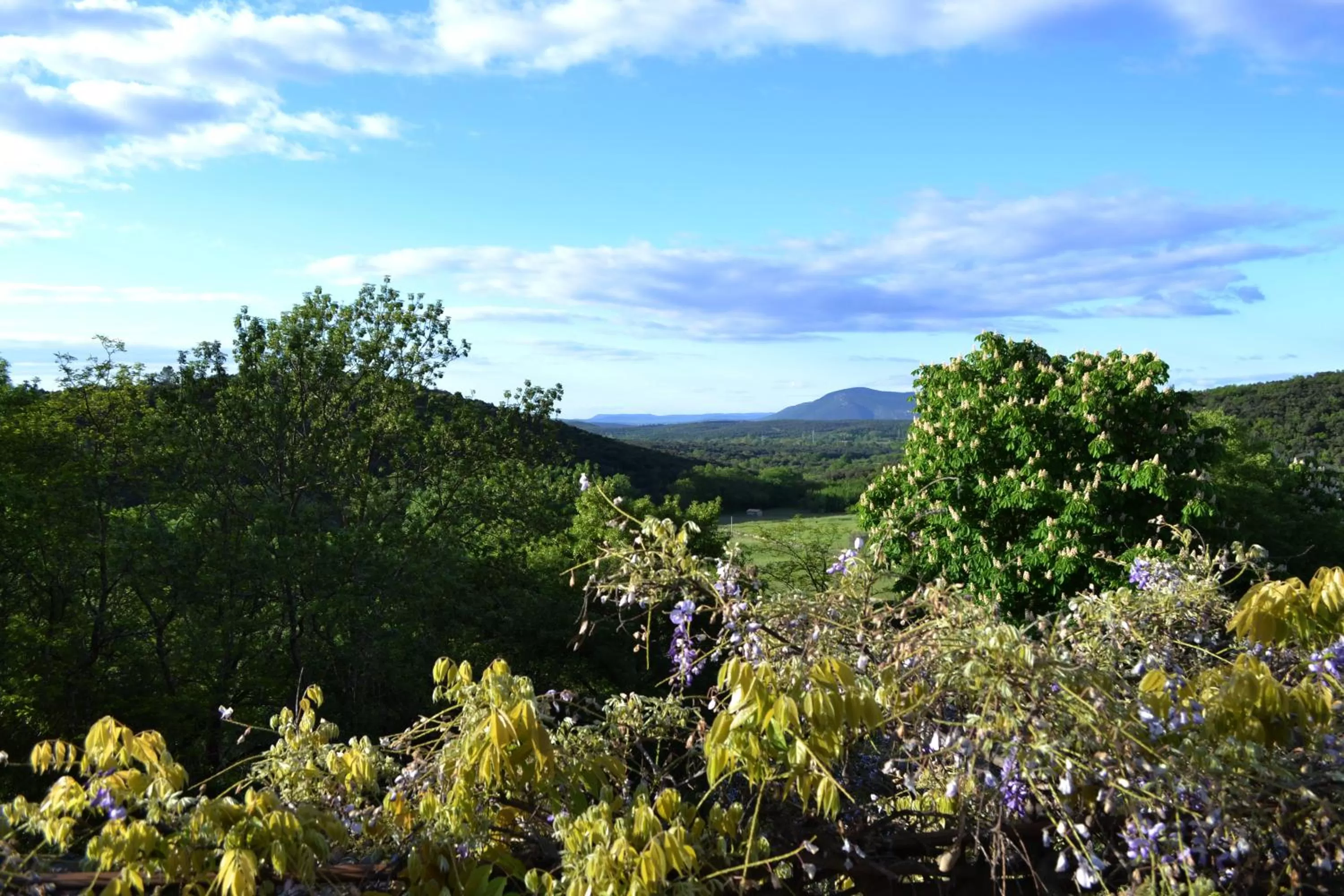 Balcony/Terrace in La Vieille Maison - Halte Gourmande