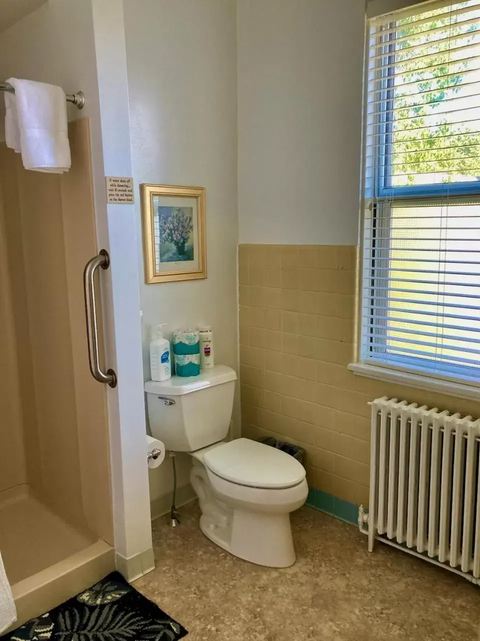 Shower, Bathroom in Garden Grove Retreat & Lodging near Pictured Rocks, Fayette, Trails