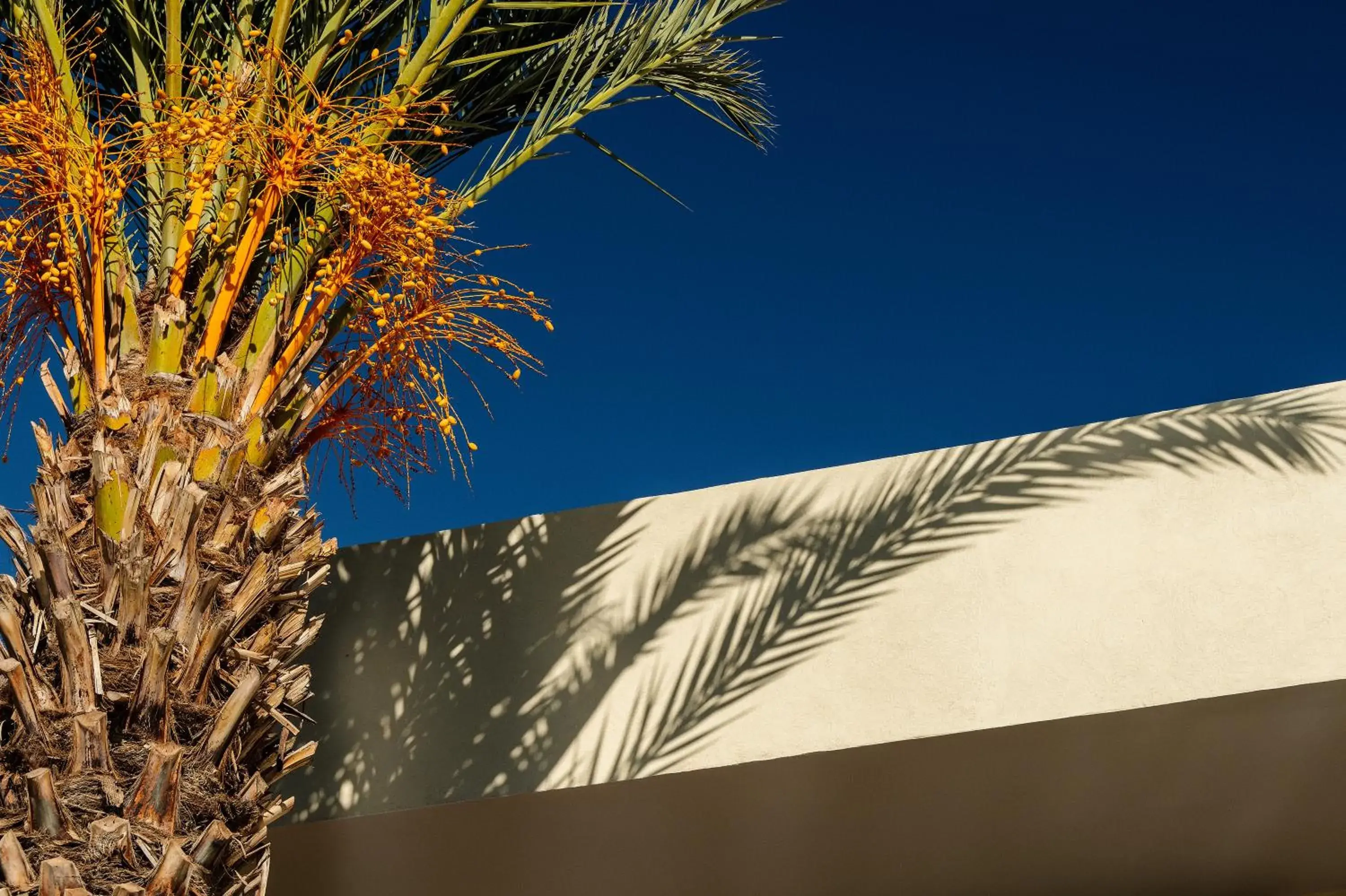 Property building in Sirayane Boutique Hotel & Spa Marrakech