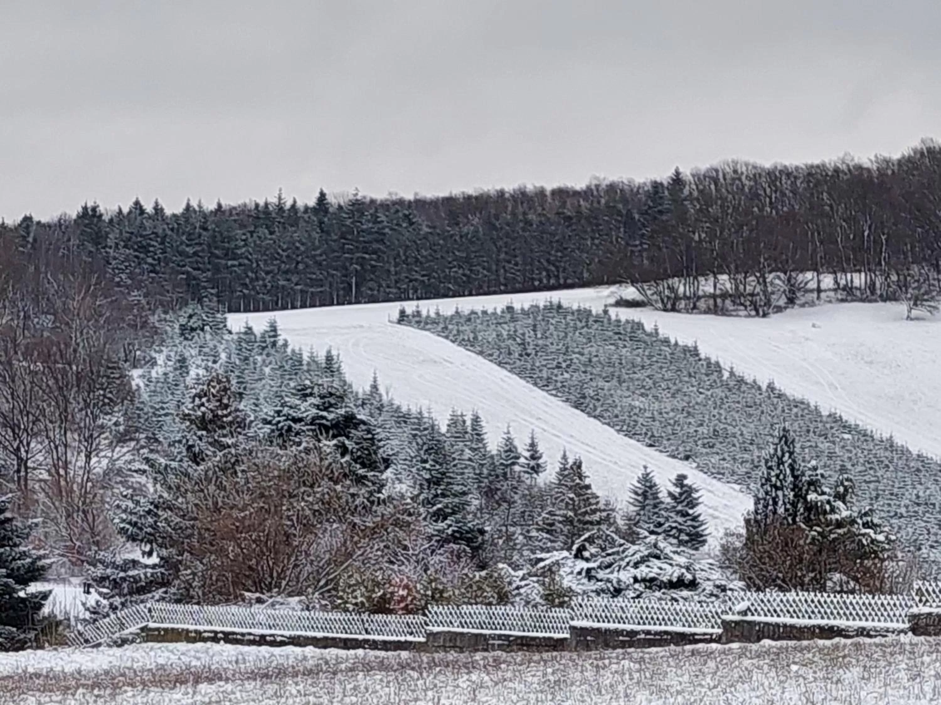 Winter in Pension Welserhof