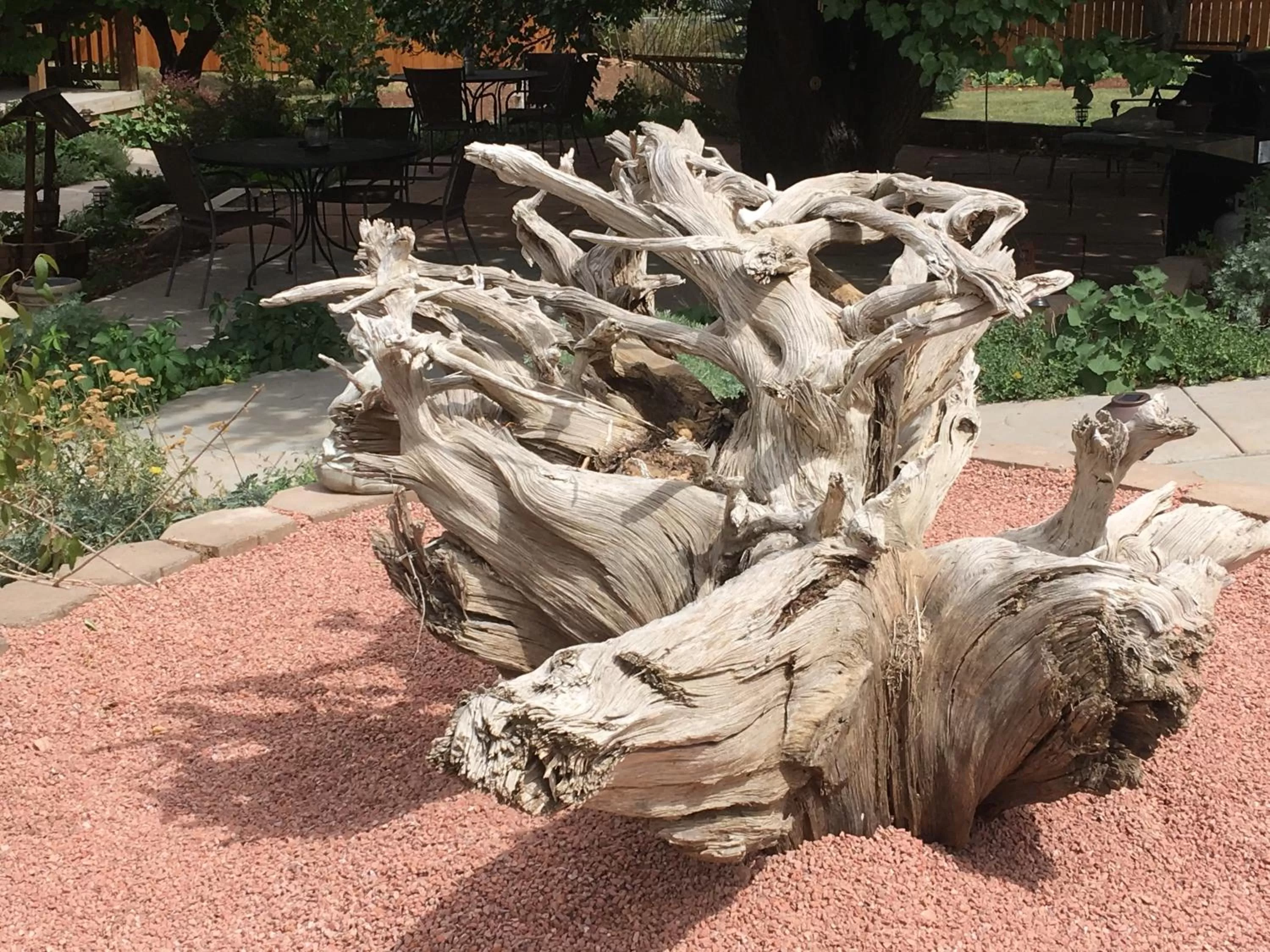 Garden in The Loubird Inn