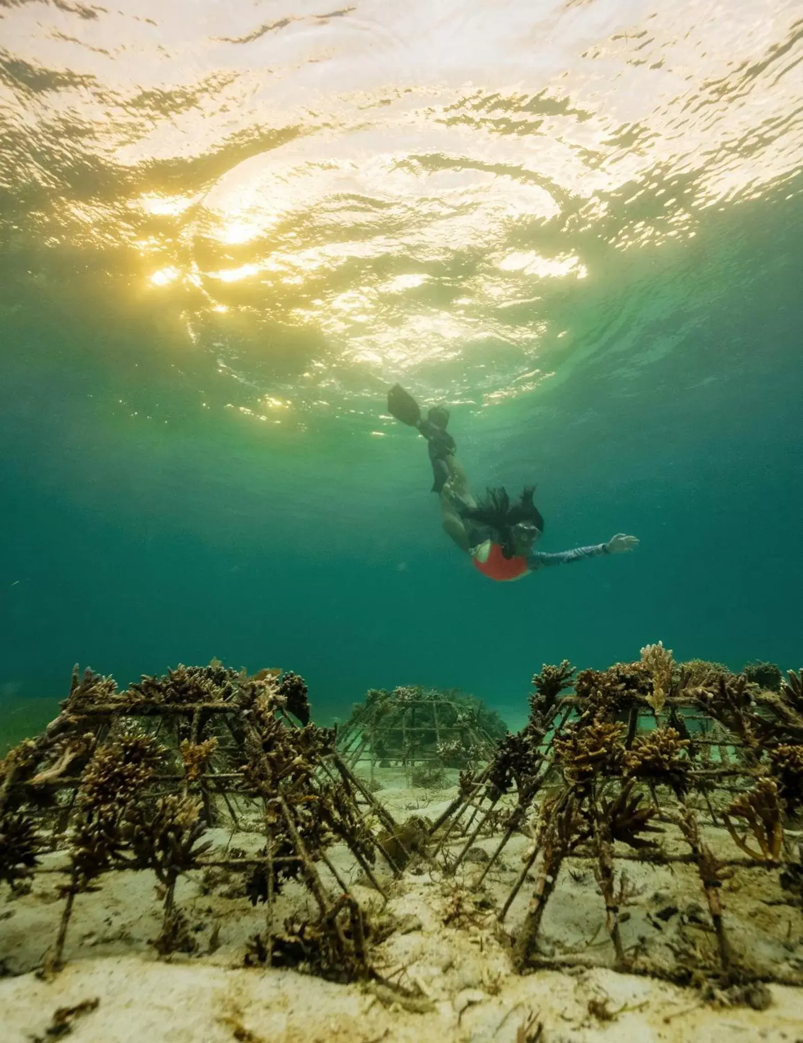 Snorkeling in Ocean Vida Beach and Dive Resort