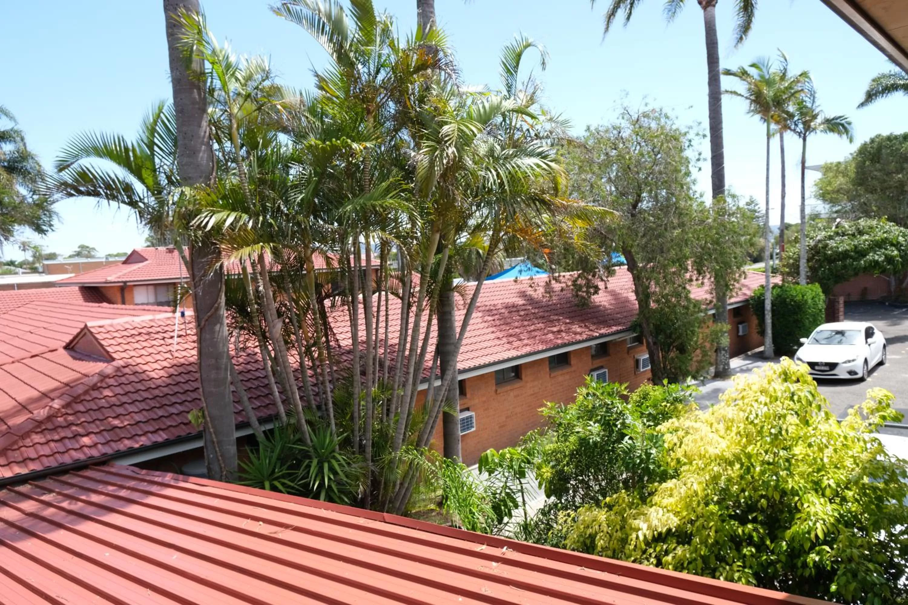 View (from property/room) in Sapphire Palms Motel