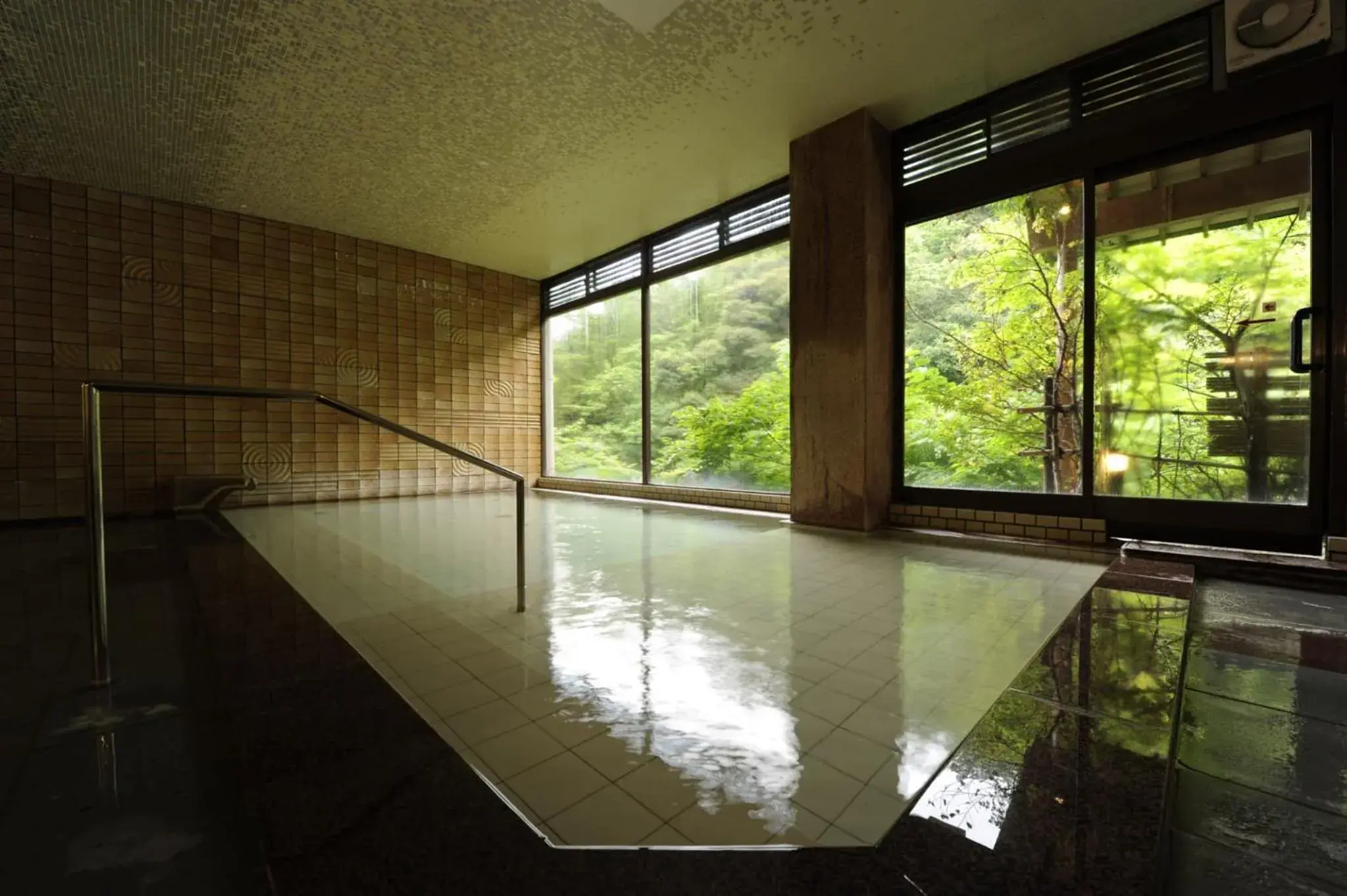 Hot Spring Bath in Shirasagiyu Tawaraya