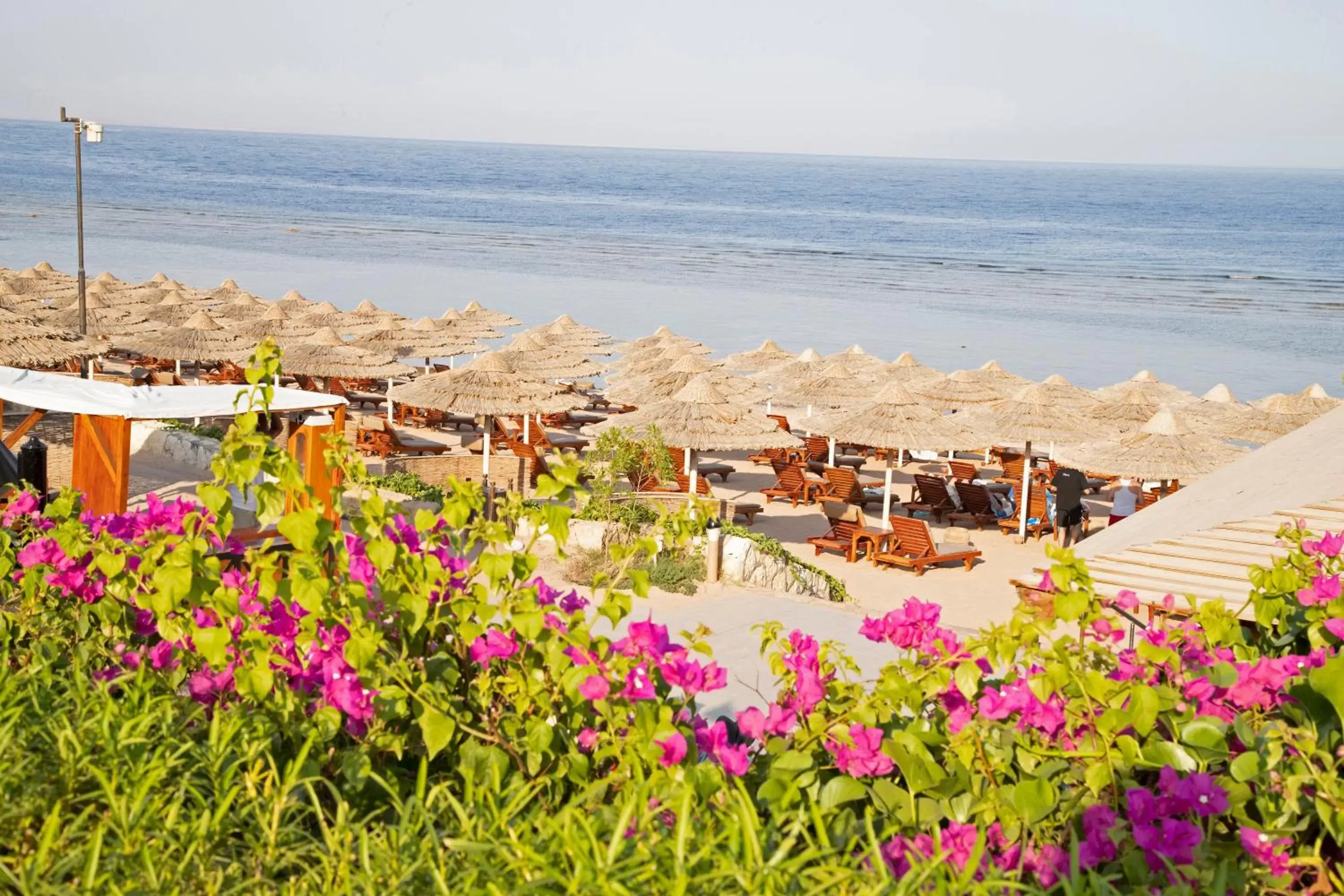 Beach in Cleopatra Luxury Resort Sharm El Sheikh