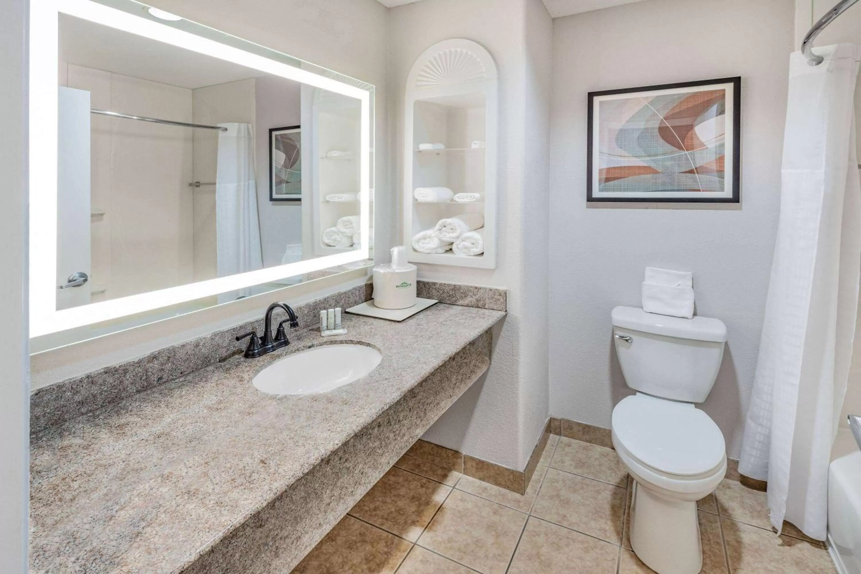 TV and multimedia in Wingate by Wyndham Houston Bush Intercontinental Airport