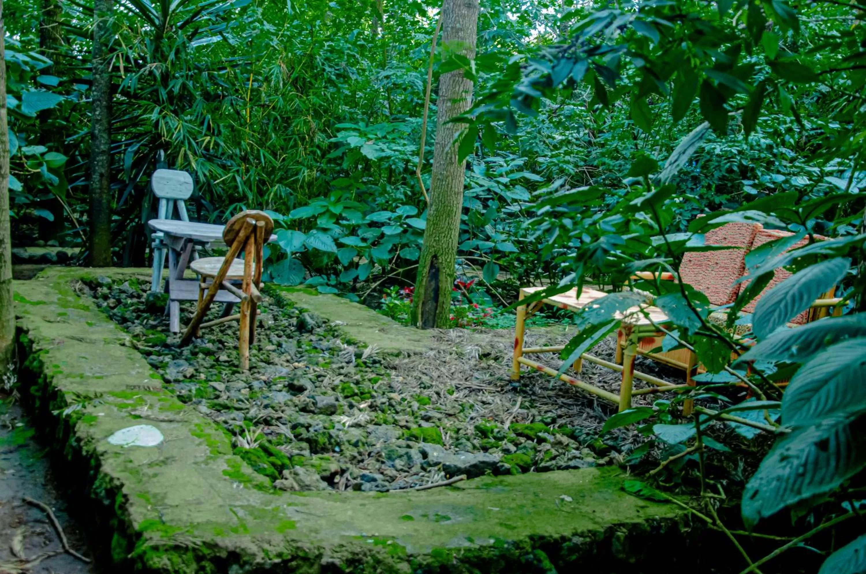 Garden in Fravan Eco Resort By Apogee