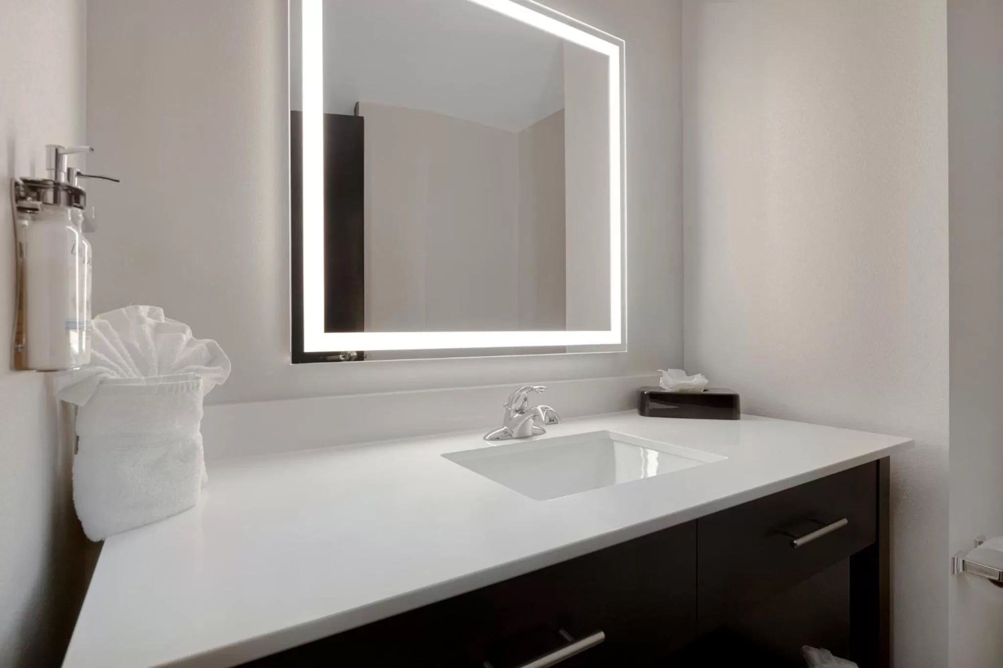 Bathroom in Holiday Inn Express & Suites - Kansas City KU Medical Center by IHG