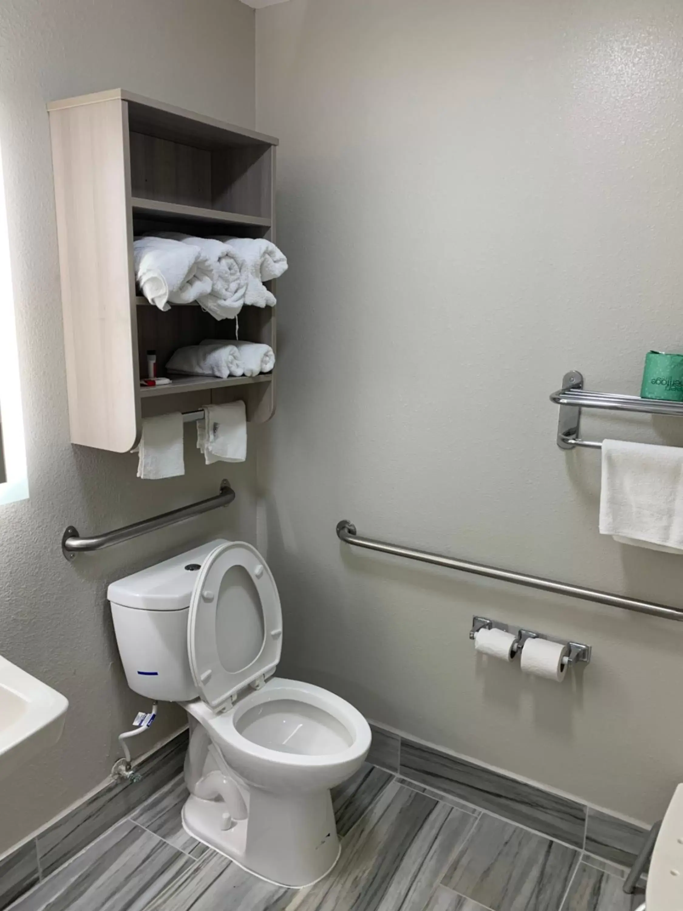 Bathroom in Microtel Inn by Wyndham Charlotte Airport