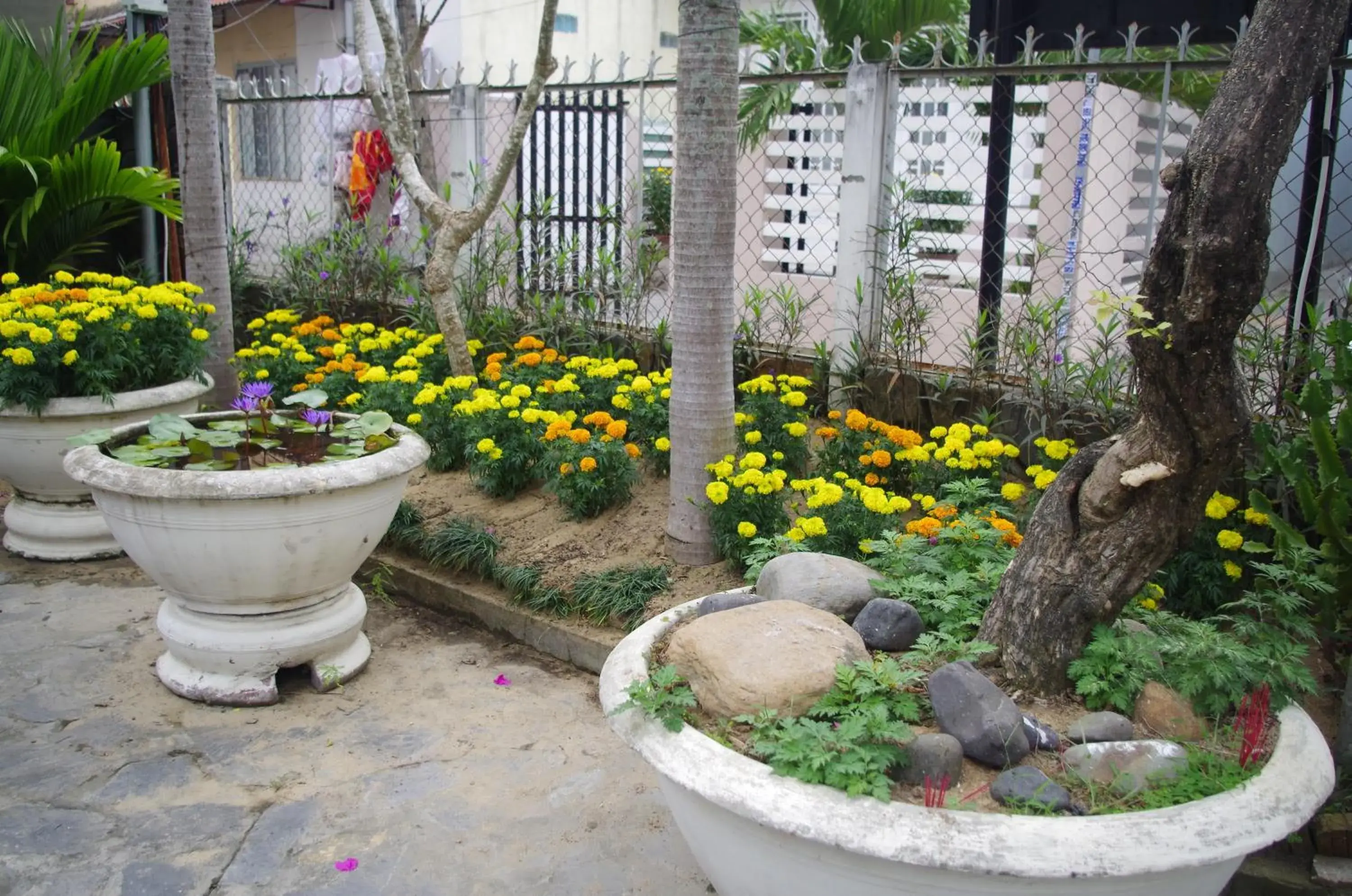 Property building, Garden in Mango Garden Hoi An Homestay