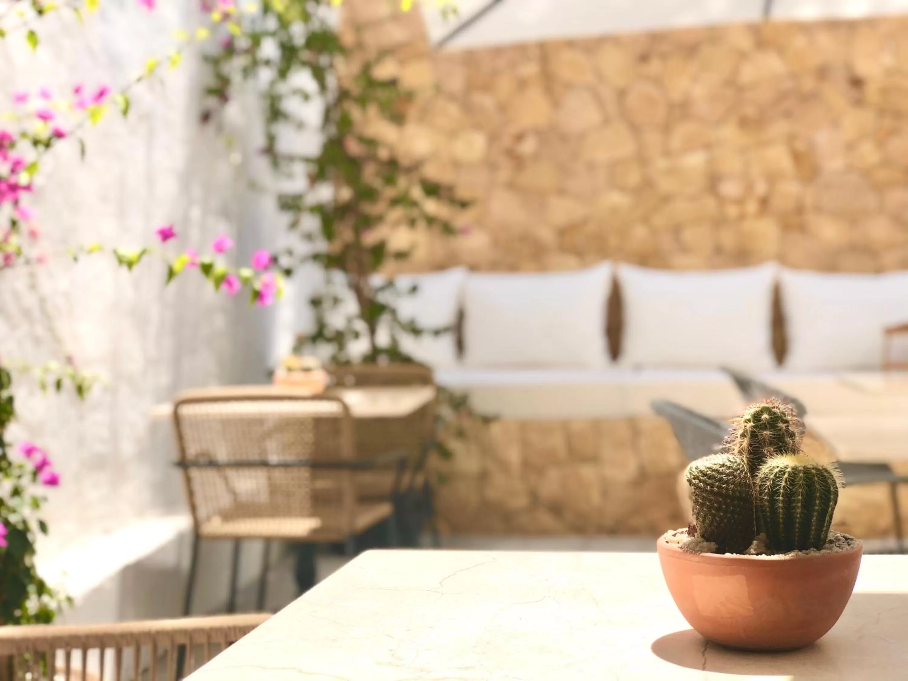Patio in Hotel Abaco Altea