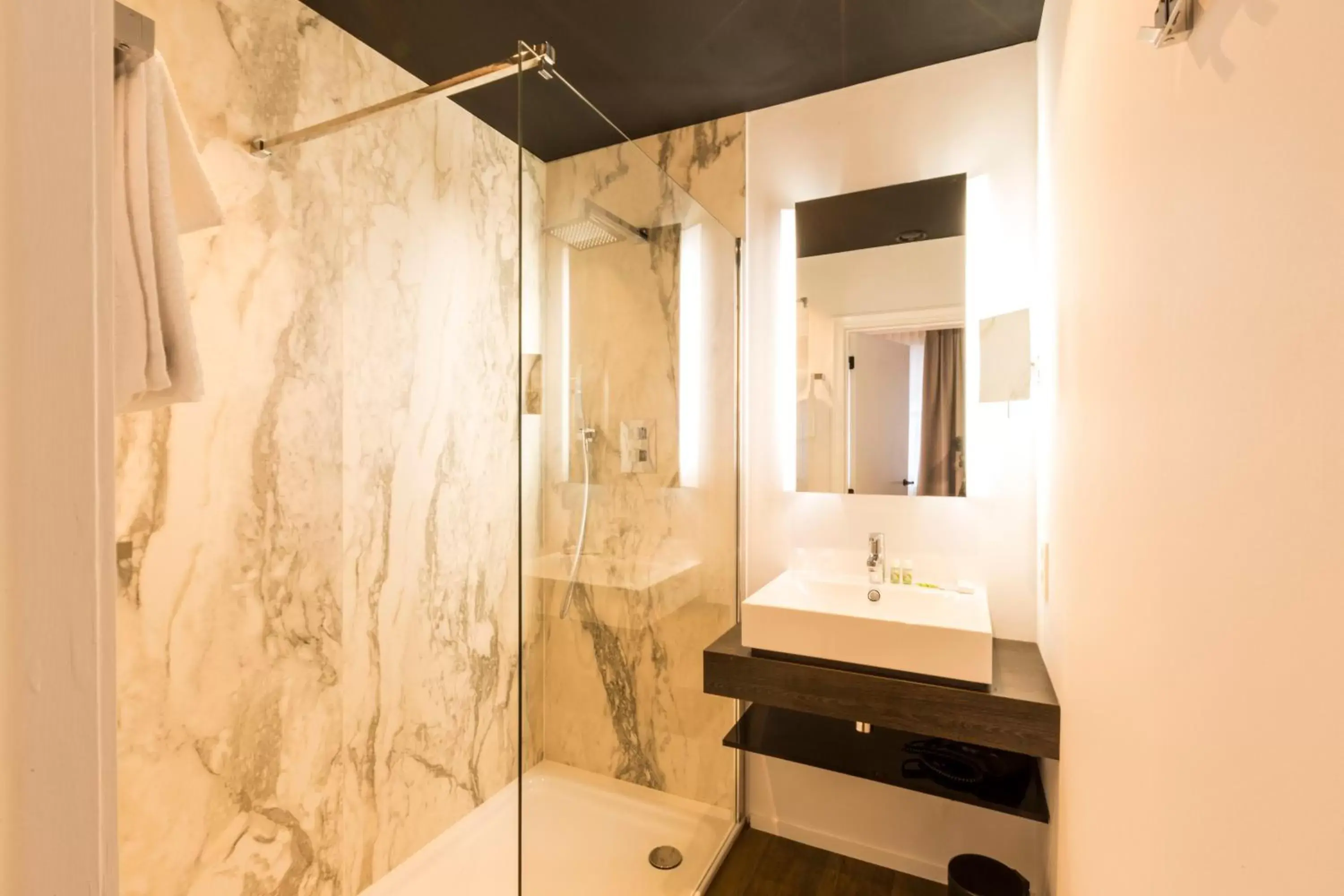 Decorative detail, Bathroom in Hotel Rubens-Grote Markt