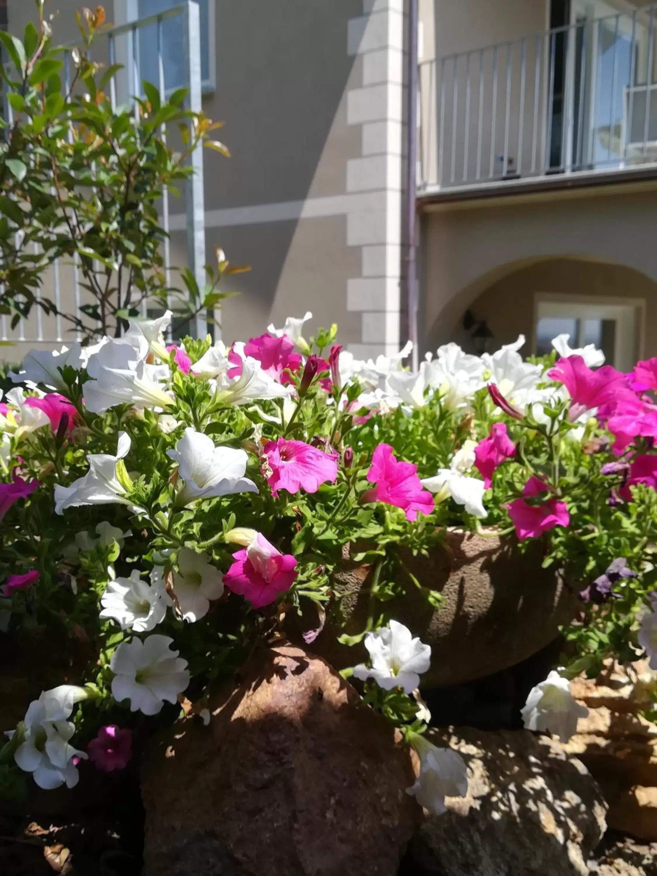 Garden in B&B Villa Antilia