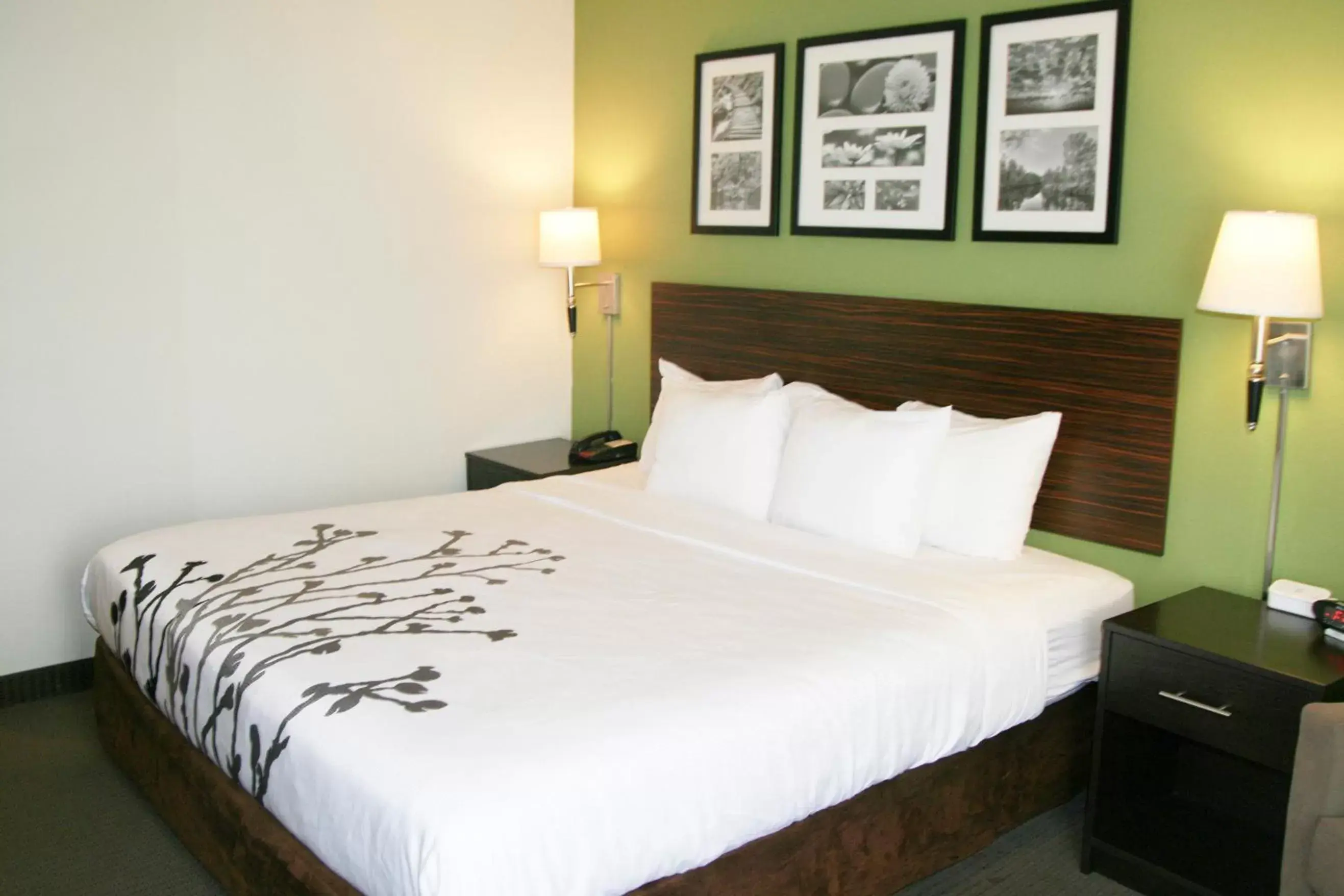 King Suite - Accessible/Non-Smoking in Sleep Inn & Suites Stony Creek