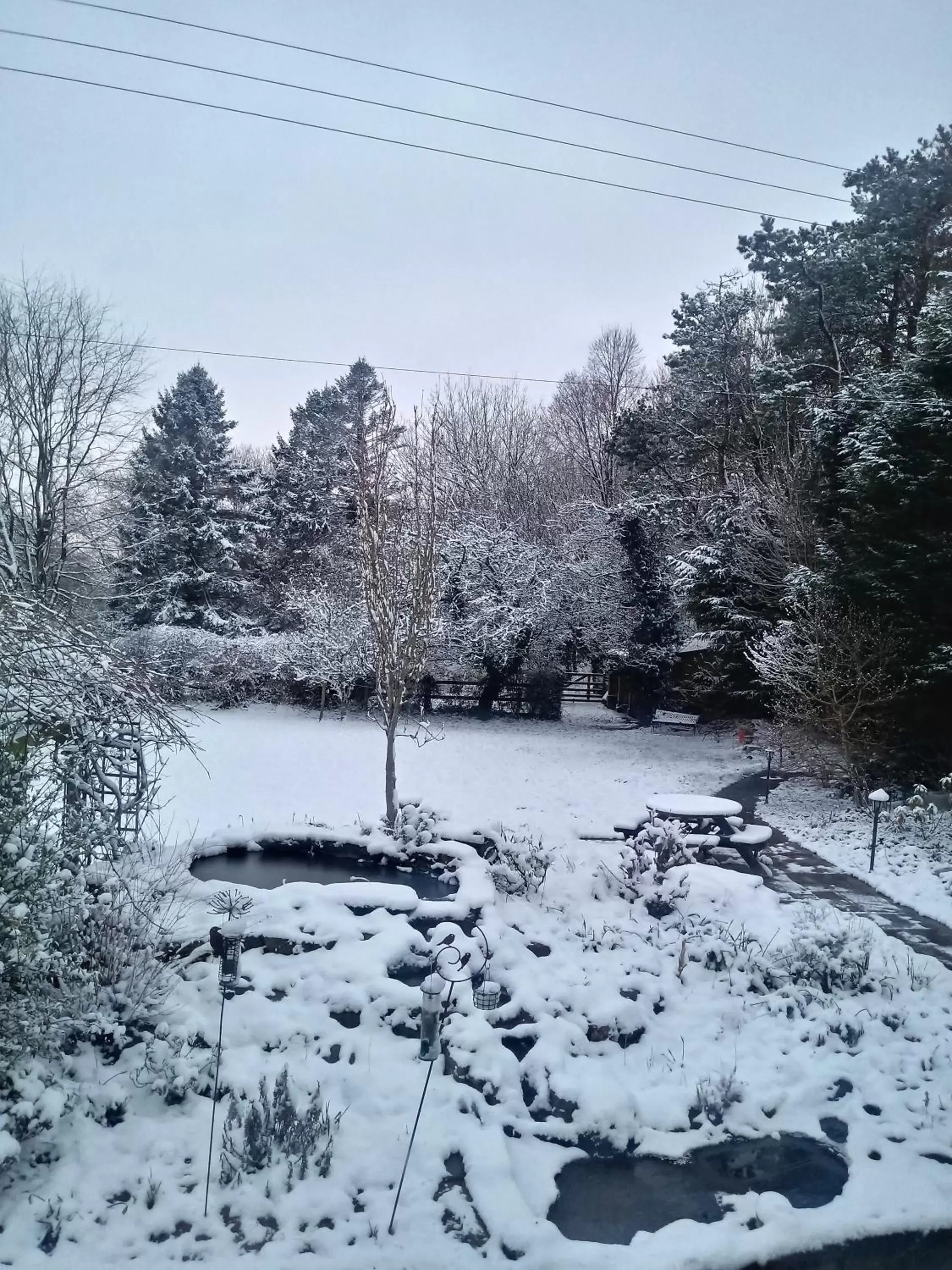 Garden view, Winter in Claw House