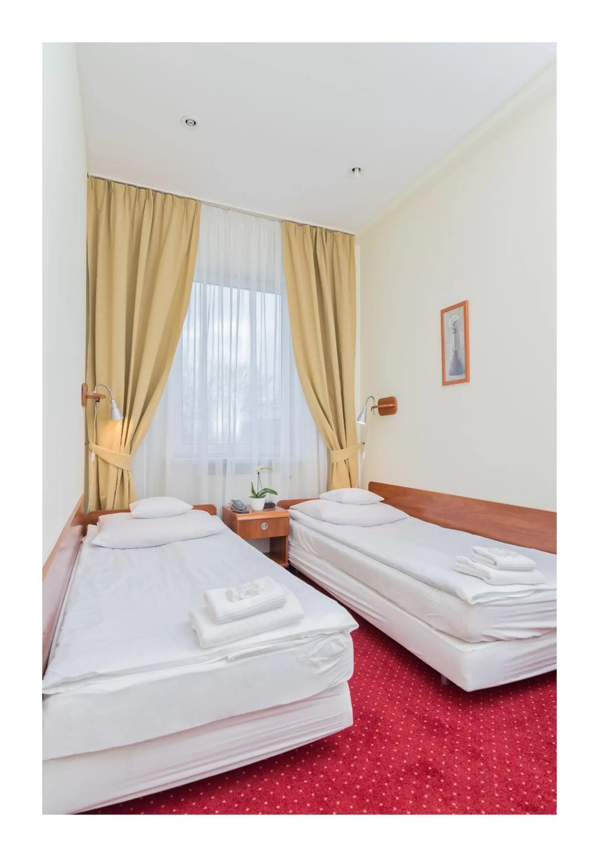Deluxe Double or Twin Room in Hotel Colibra