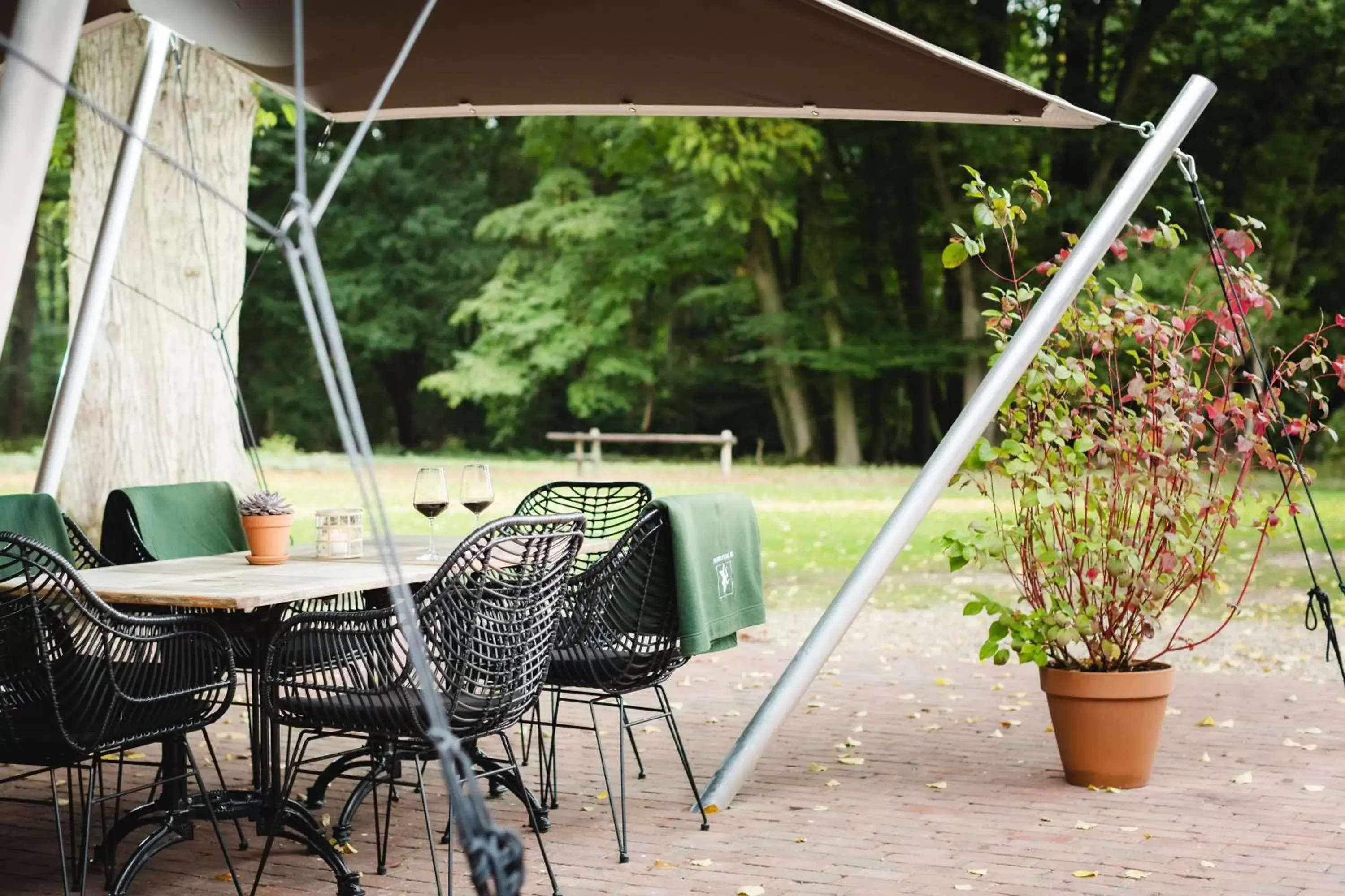 Garden in Hotel Restaurant De Wolfsberg