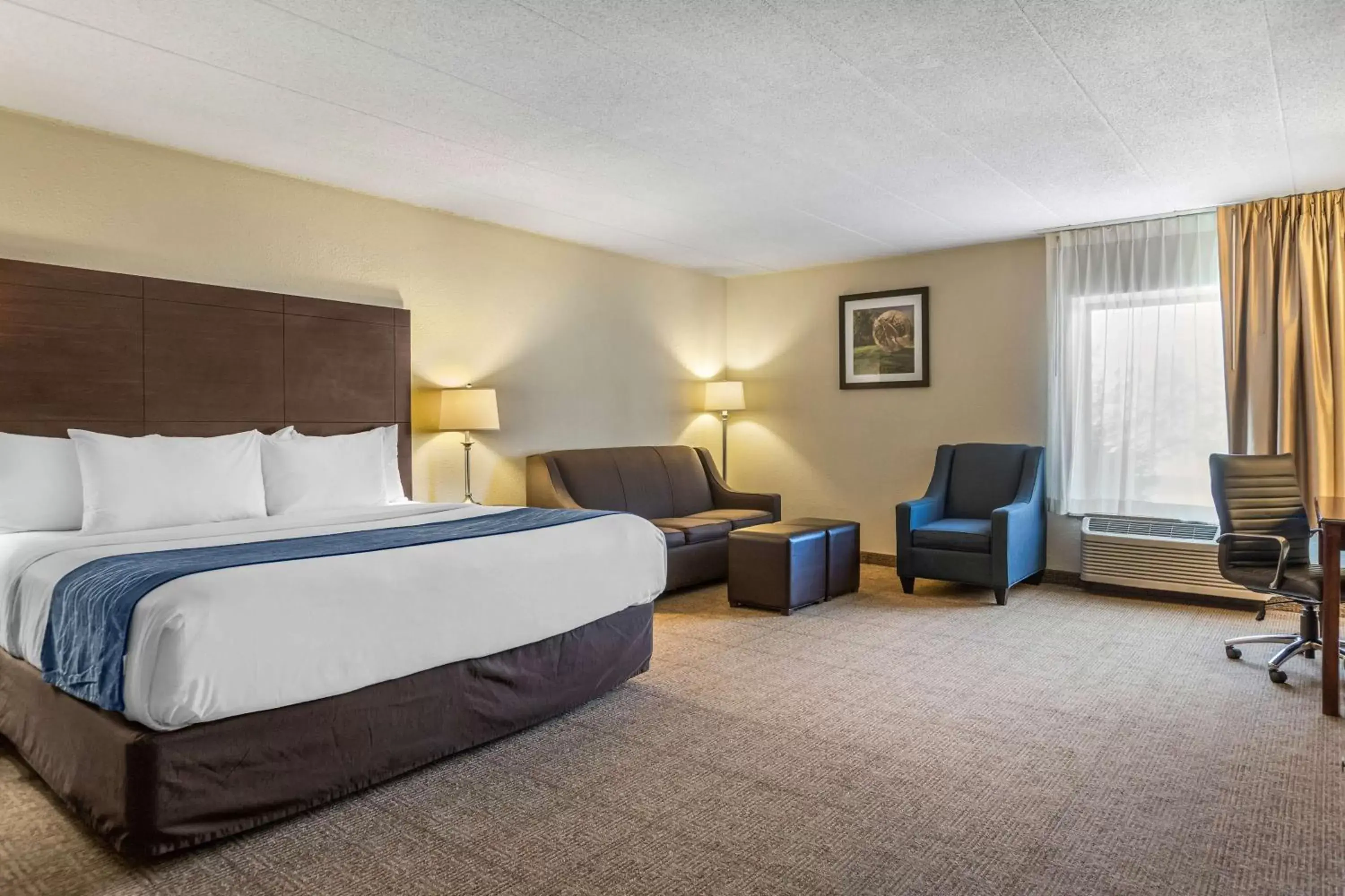 Photo of the whole room in Comfort Inn Grand Rapids Airport
