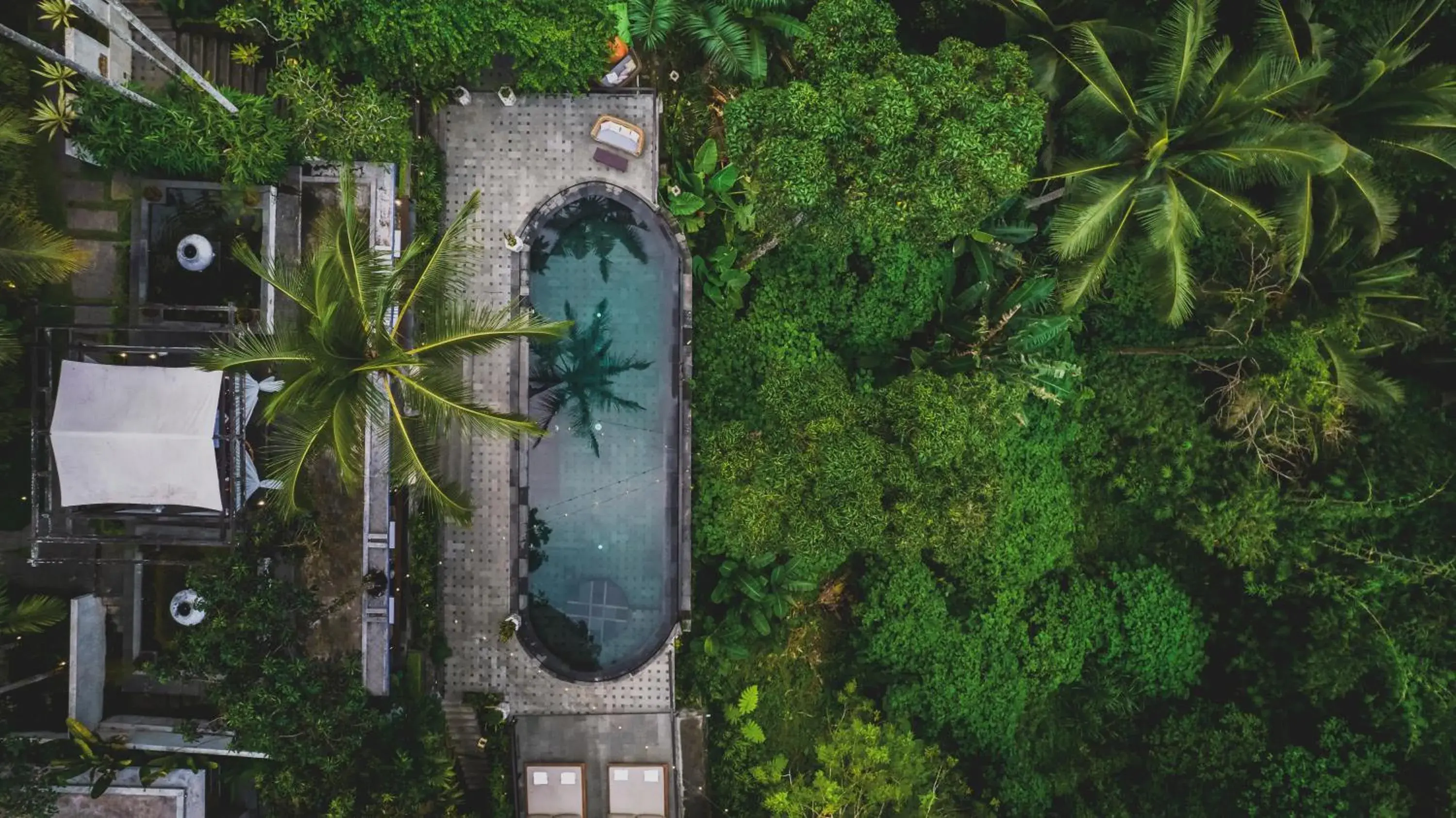 View (from property/room) in Amora Ubud Boutique Villas