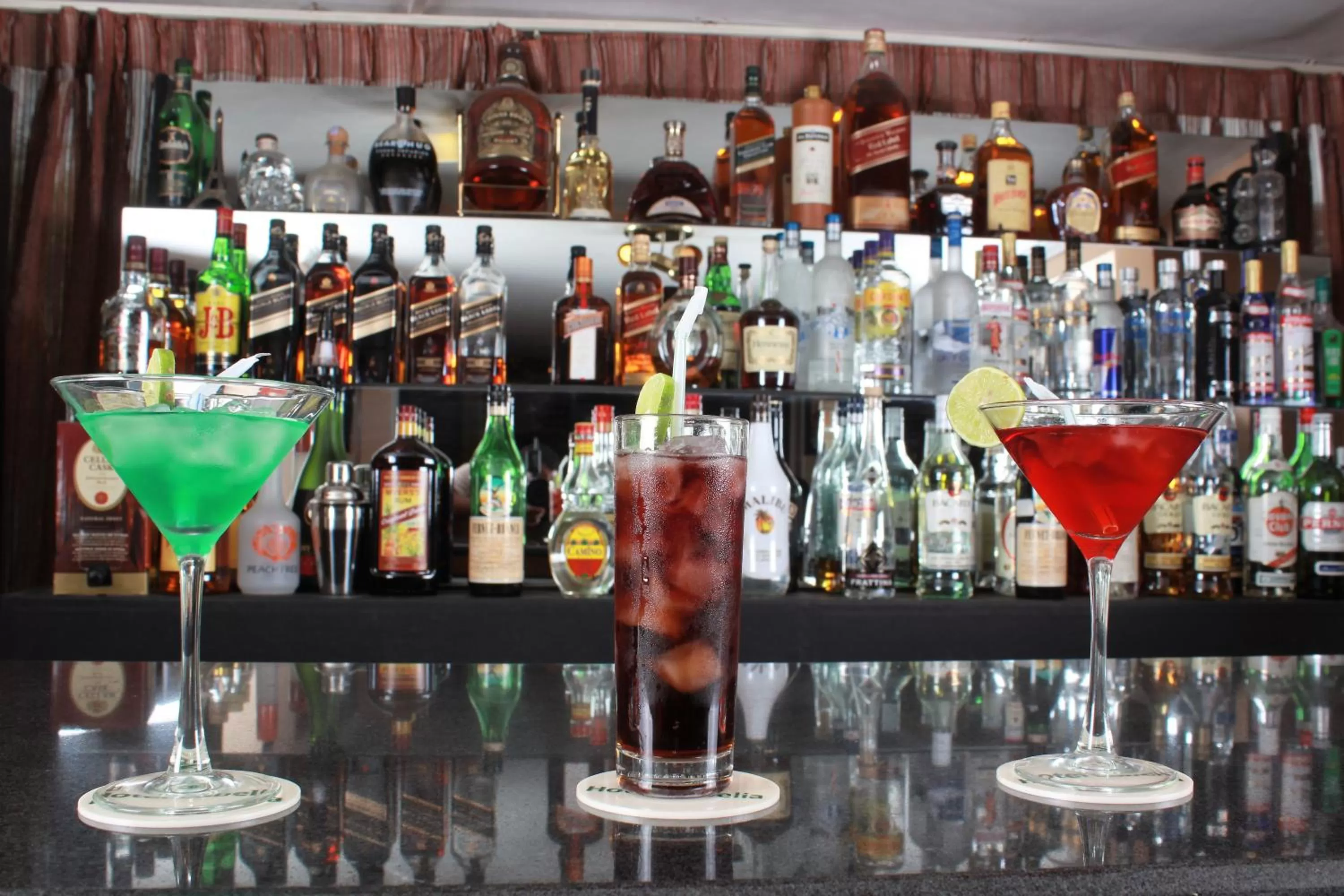 Evening entertainment in Hotel Lobelia