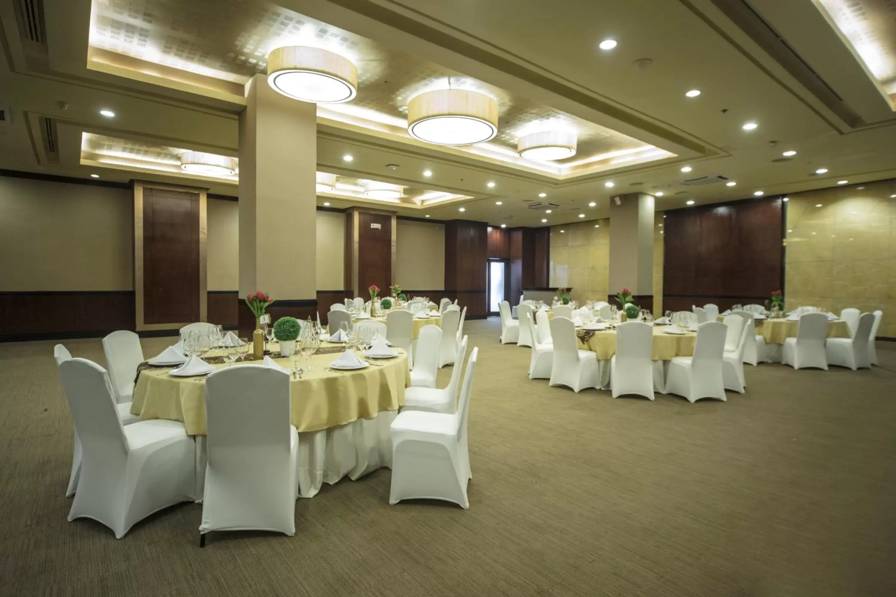 Banquet/Function facilities, Banquet Facilities in The Alpha Suites