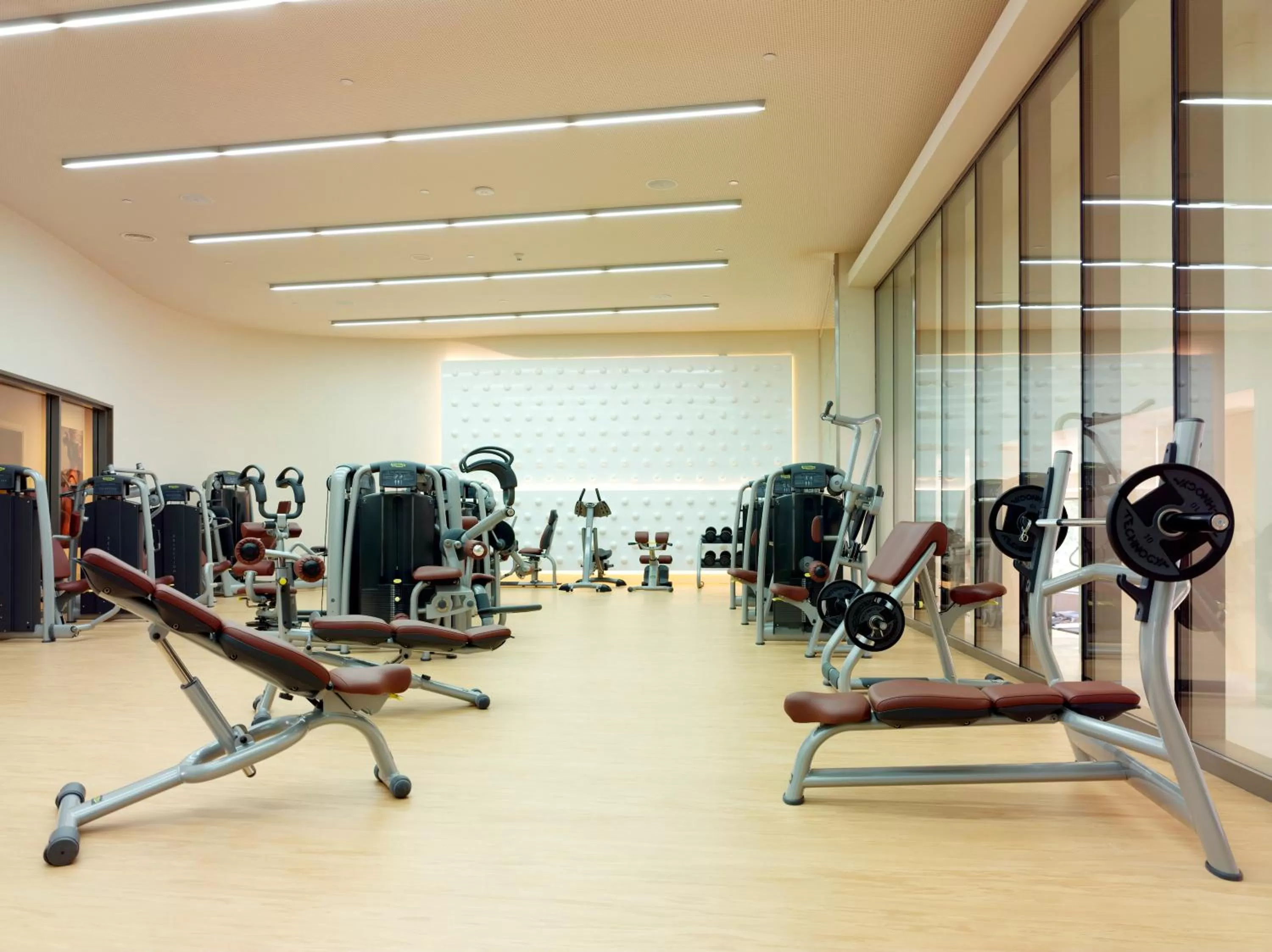 Fitness centre/facilities in Swissotel Buyuk Efes Izmir