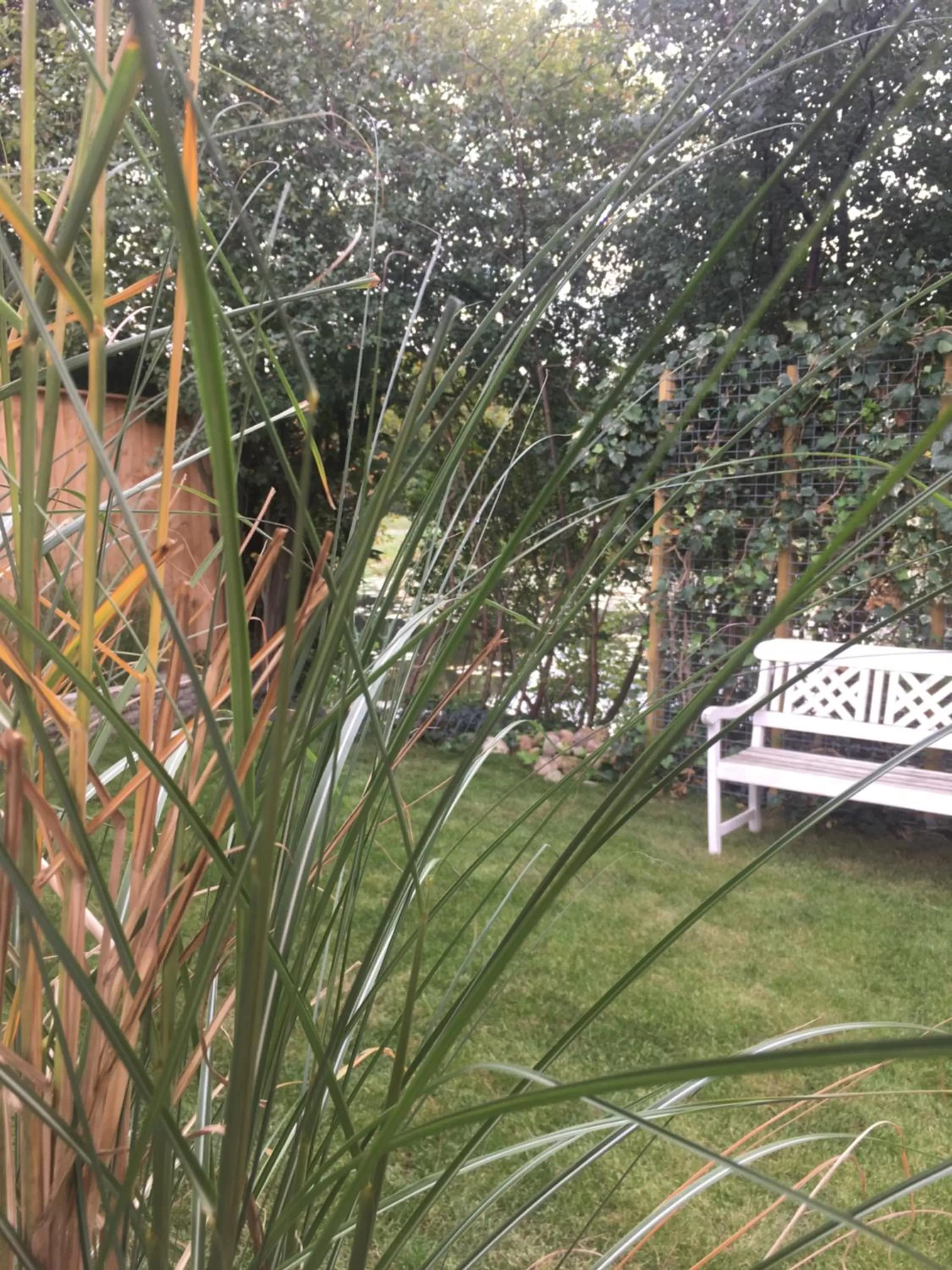 Garden in De Vijverkamer-----privé diner op de kamer mogelijk!!