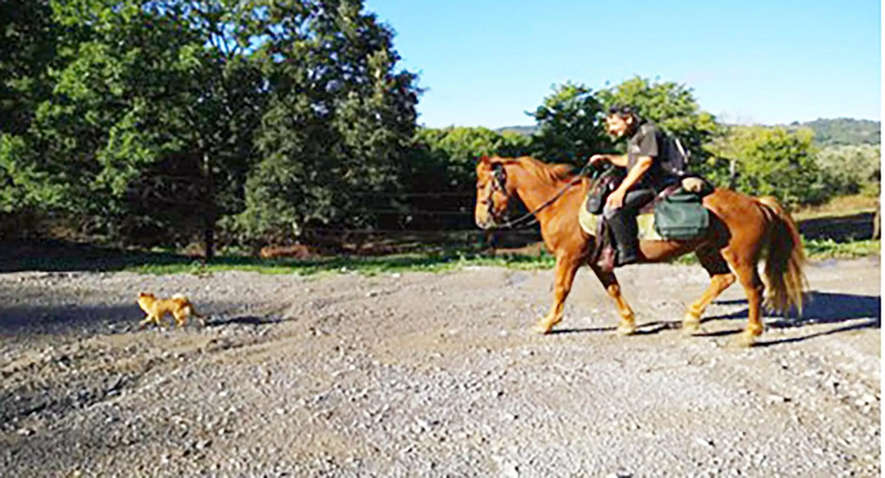 Activities, Horseback Riding in Toscana Wellness Resort