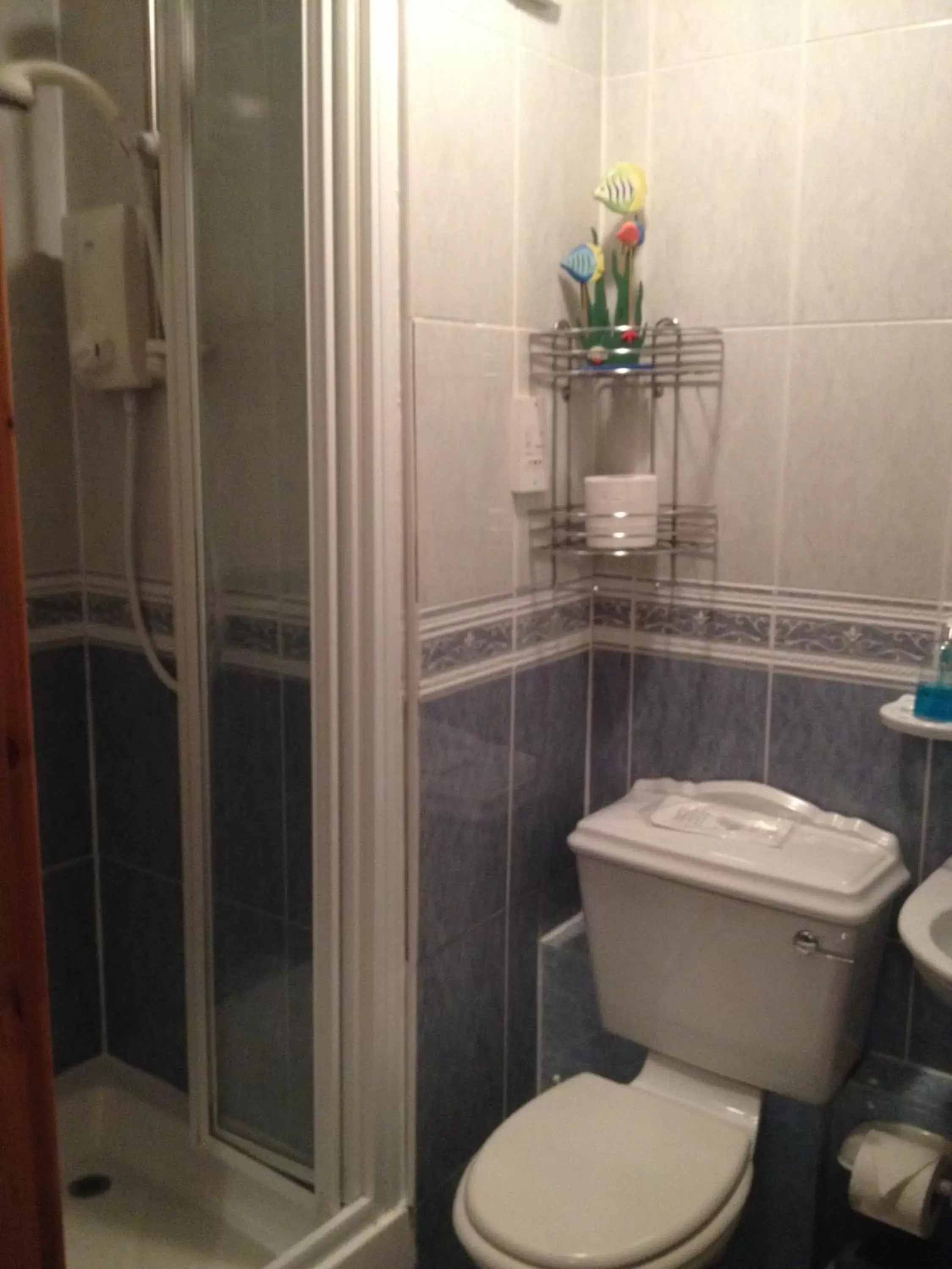 Shower, Bathroom in Twin Lions Hotel