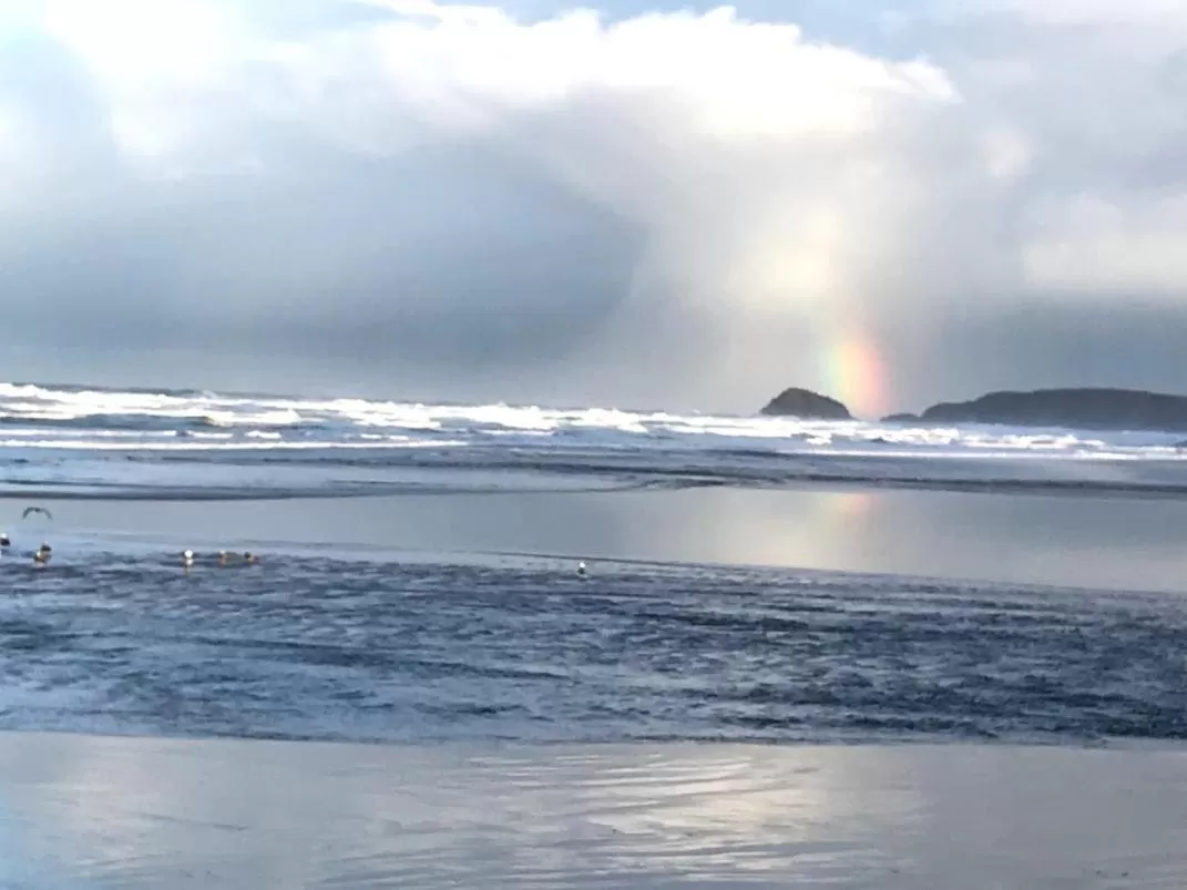 Beach in The Residence at Bolenna