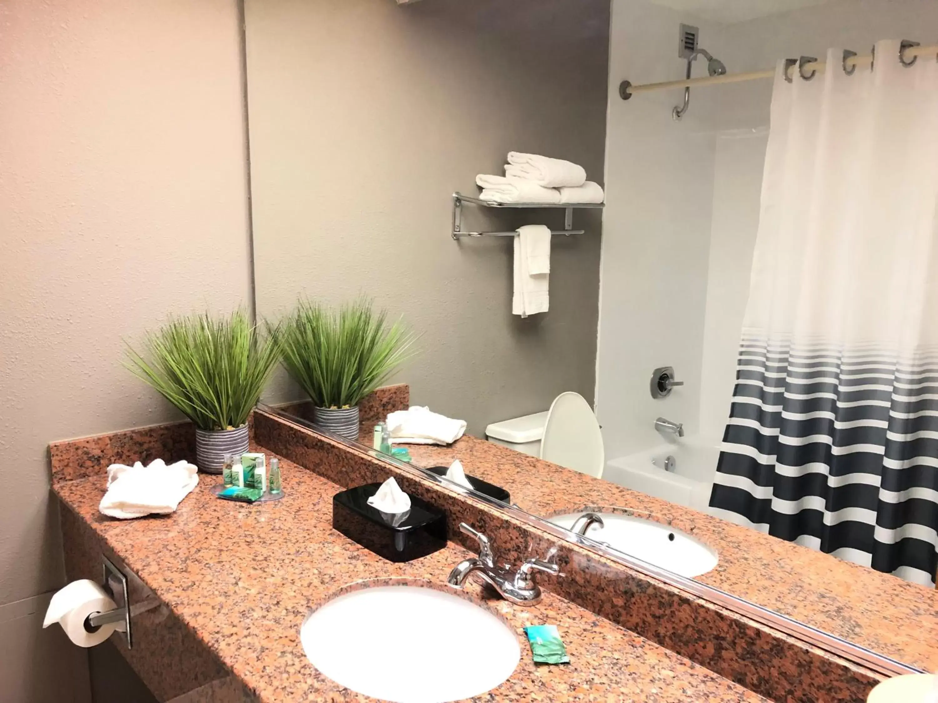 Bathroom in Capital Plaza Hotel